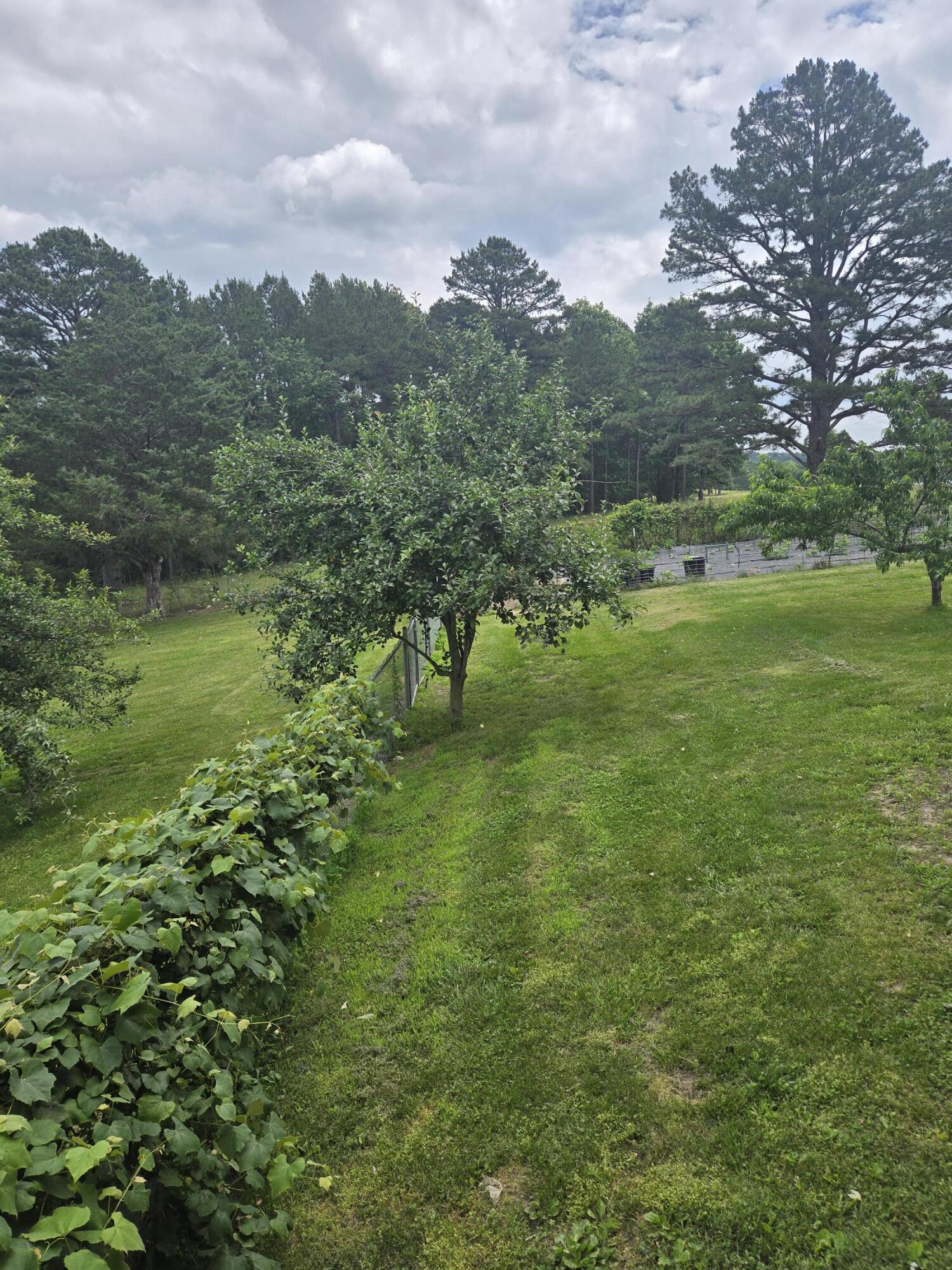 6405 State Route Mm Property Photo 59