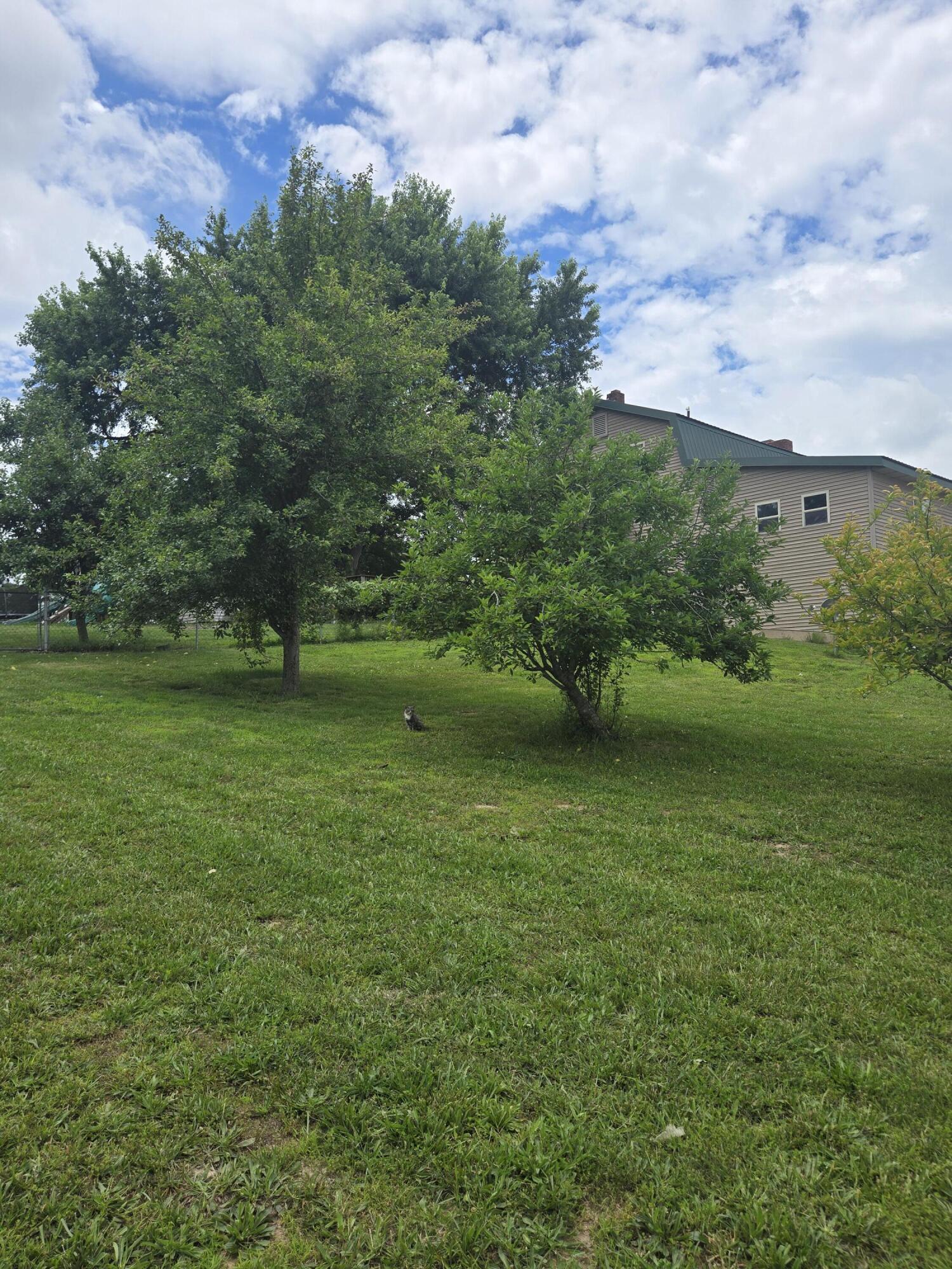 6405 State Route Mm Property Photo 87