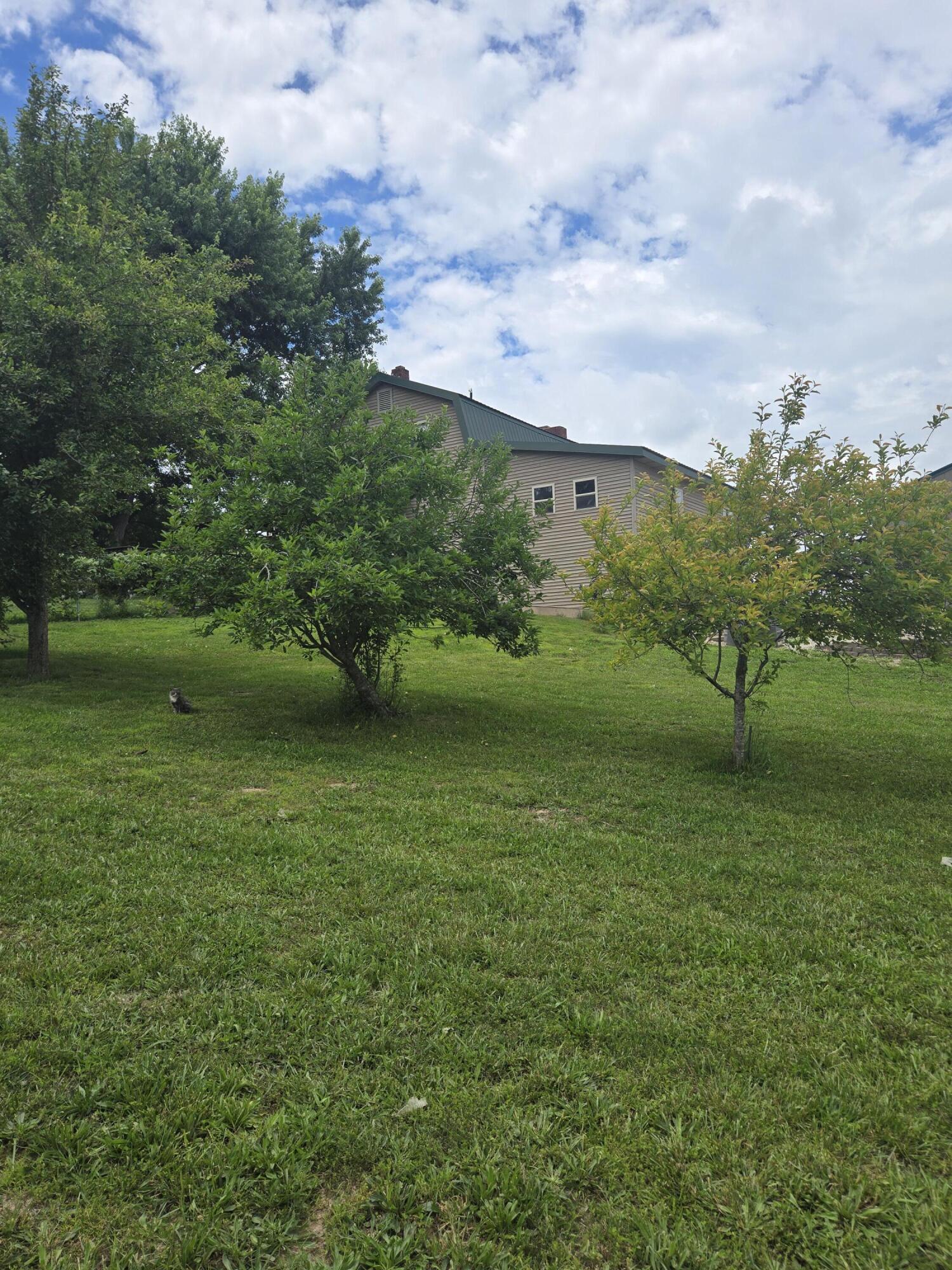 6405 State Route Mm Property Photo 88