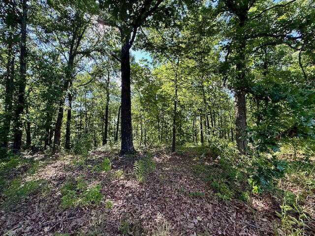 1786 County Road 6220 Property Photo 39