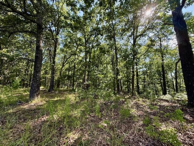 1786 County Road 6220 Property Photo 40