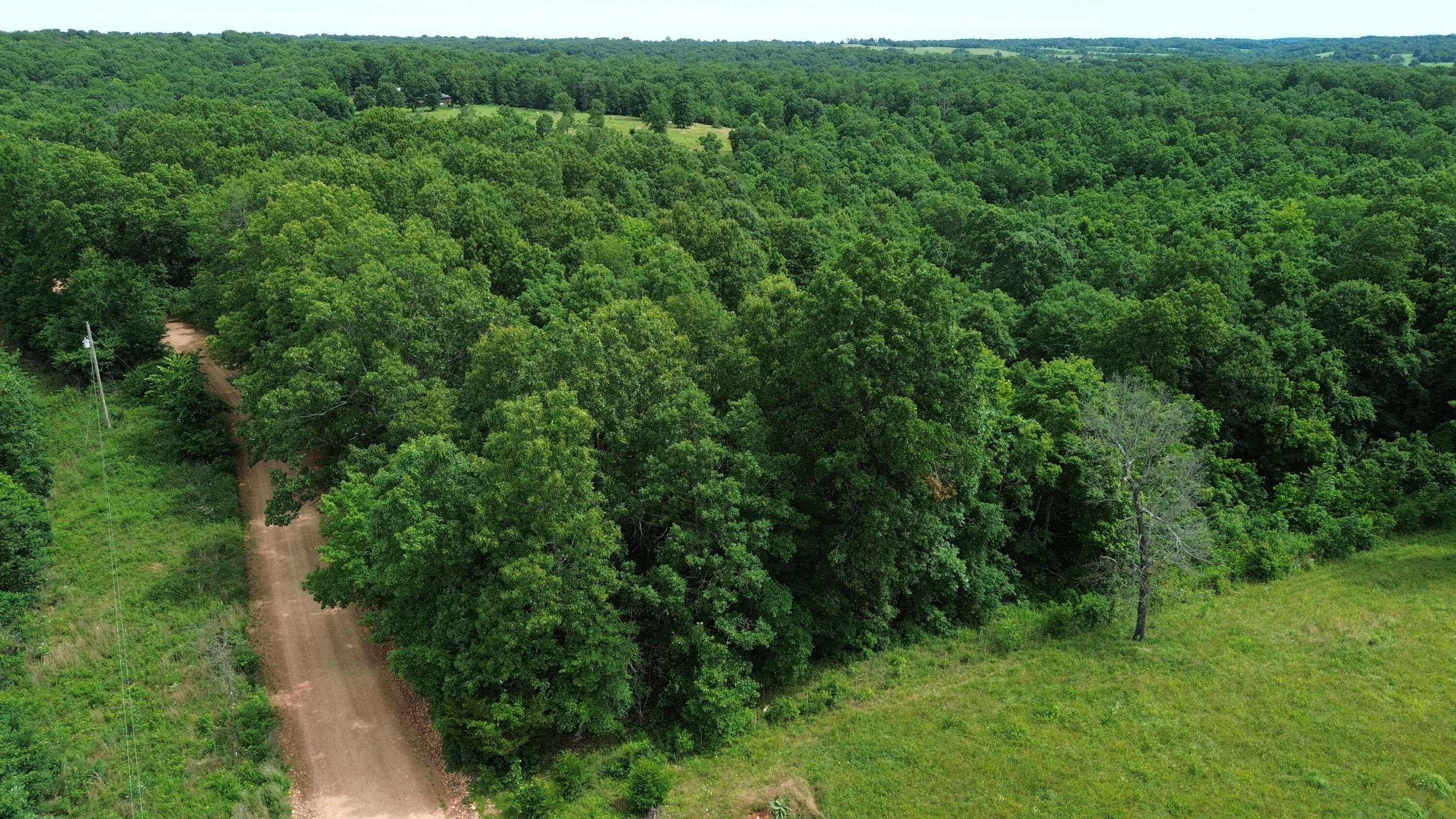 2086 Plainview Road Property Photo 5