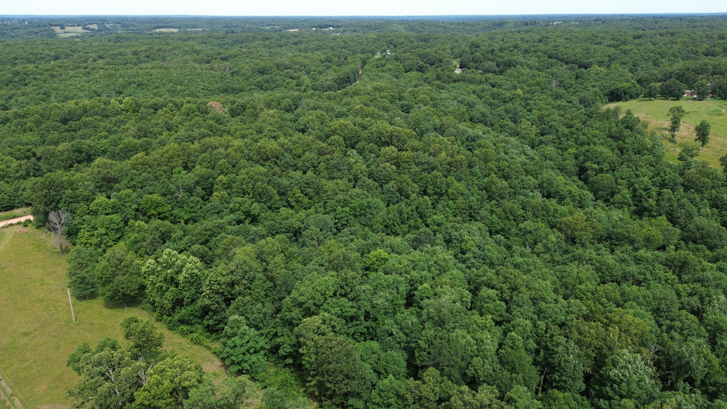 2086 Plainview Road Property Photo 6