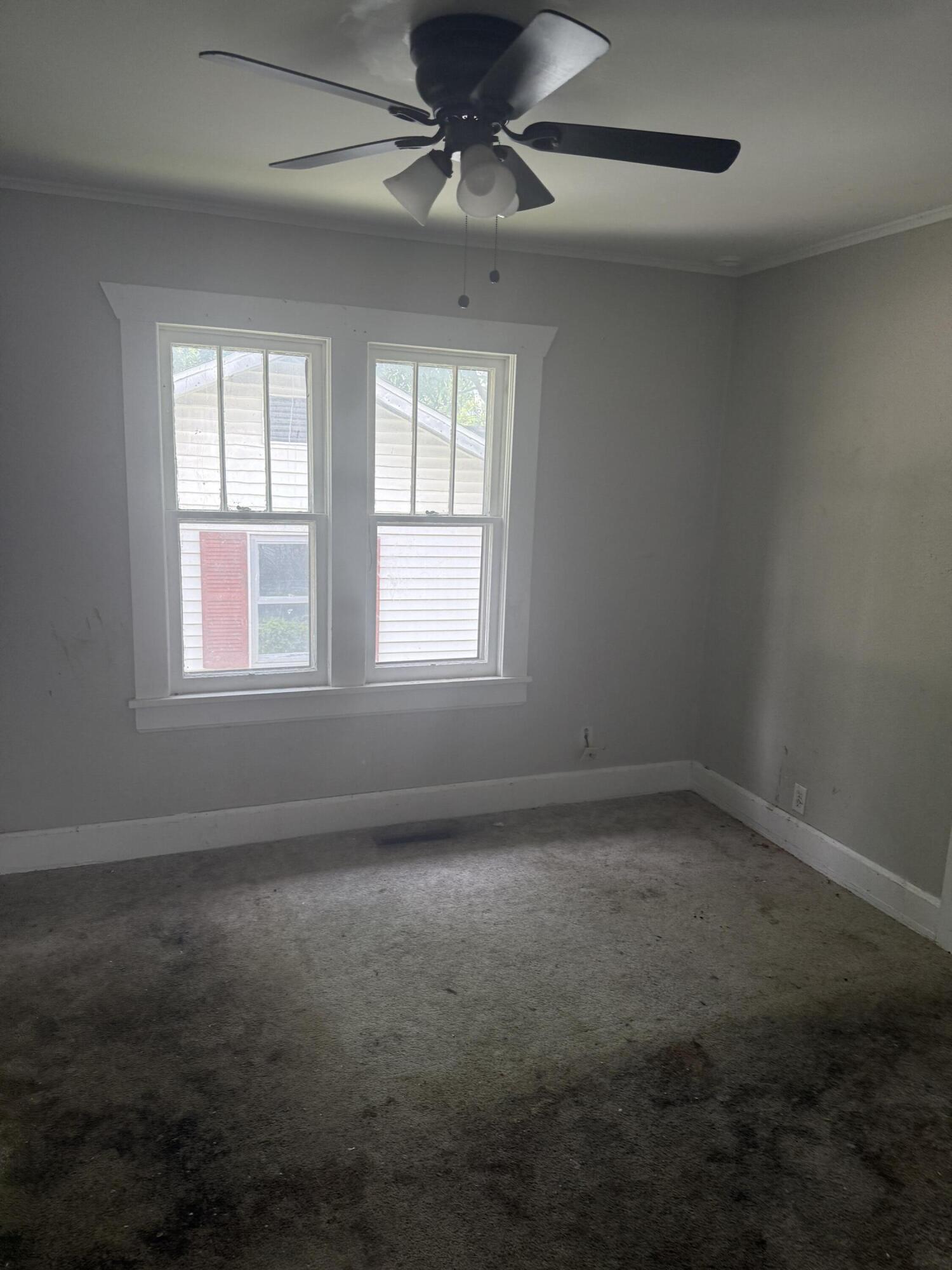 917 West Chicago Street Property Photo 6