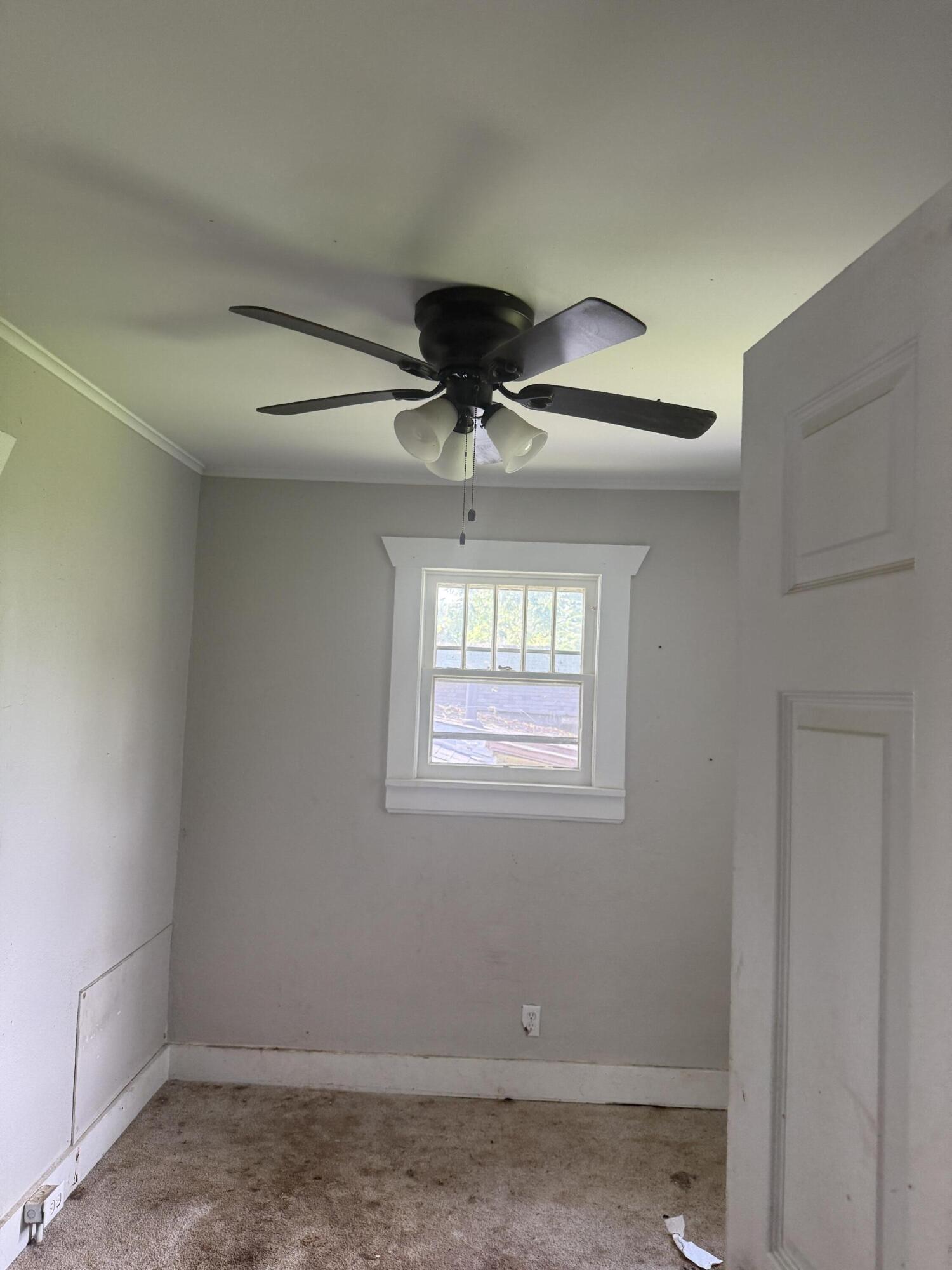 917 West Chicago Street Property Photo 7