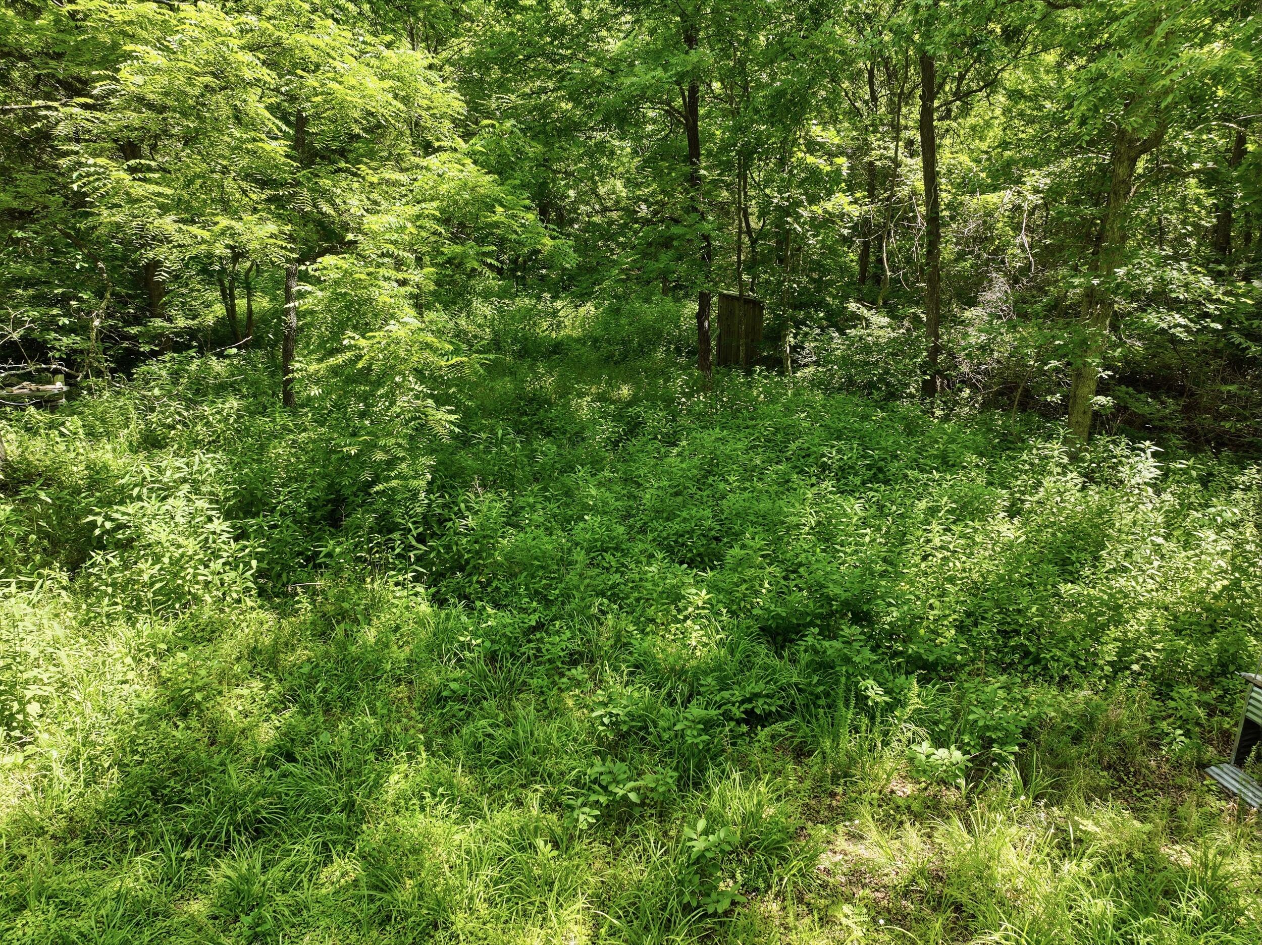 000 Barn Hollow Drive Property Photo 2