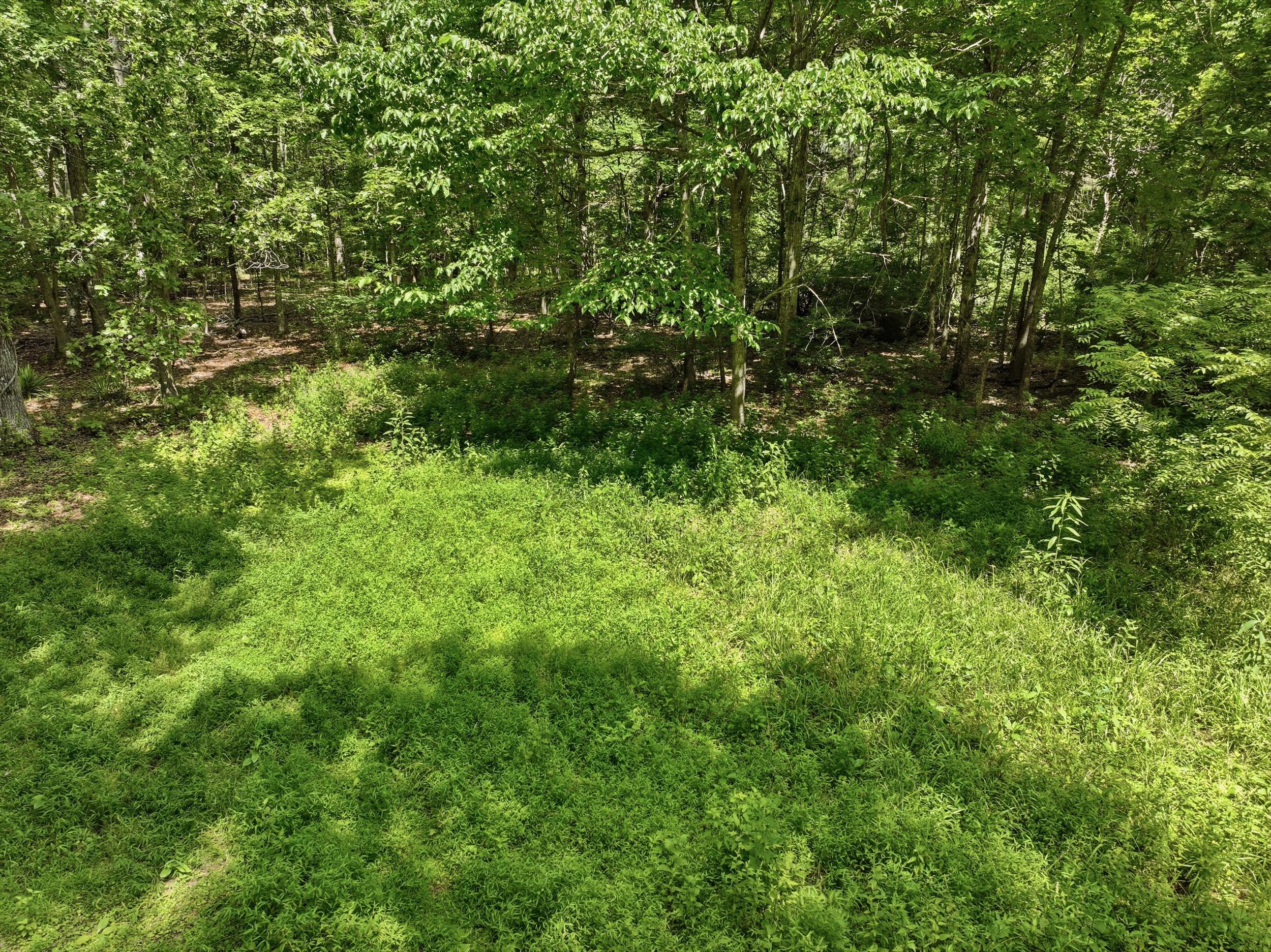 000 Barn Hollow Drive Property Photo 3