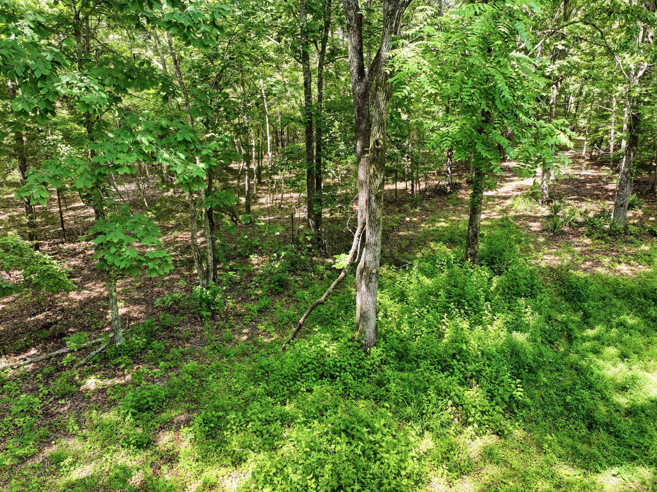 000 Barn Hollow Drive Property Photo 4
