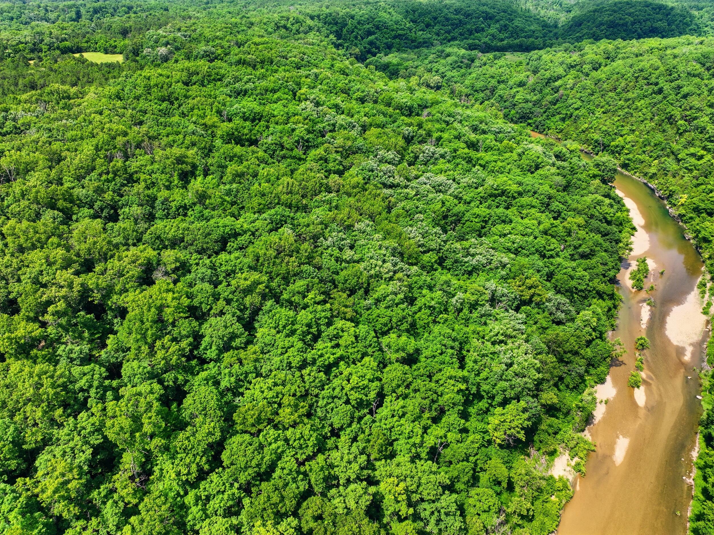000 Barn Hollow Drive Property Photo 13