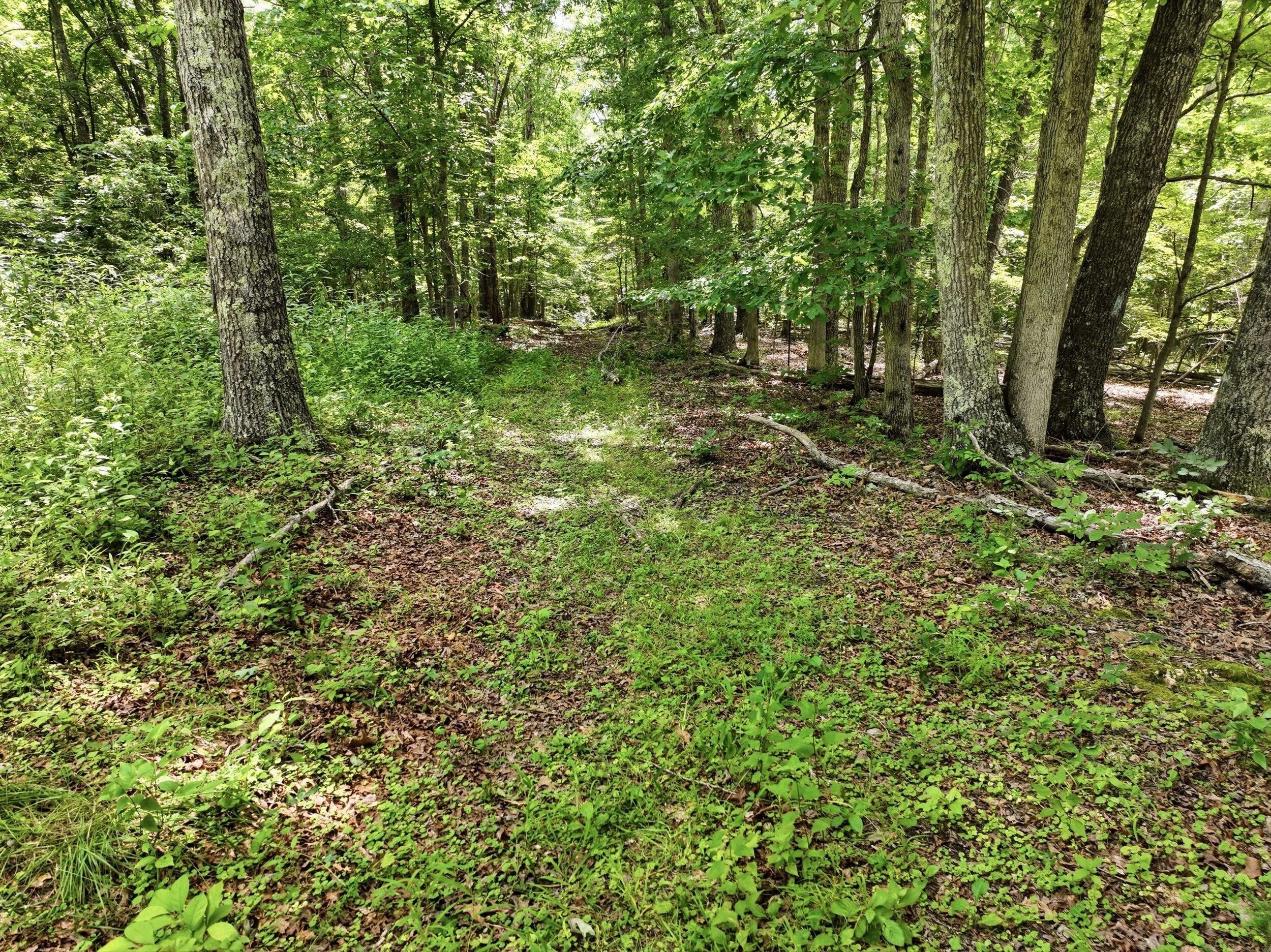 000 Barn Hollow Drive Property Photo 14