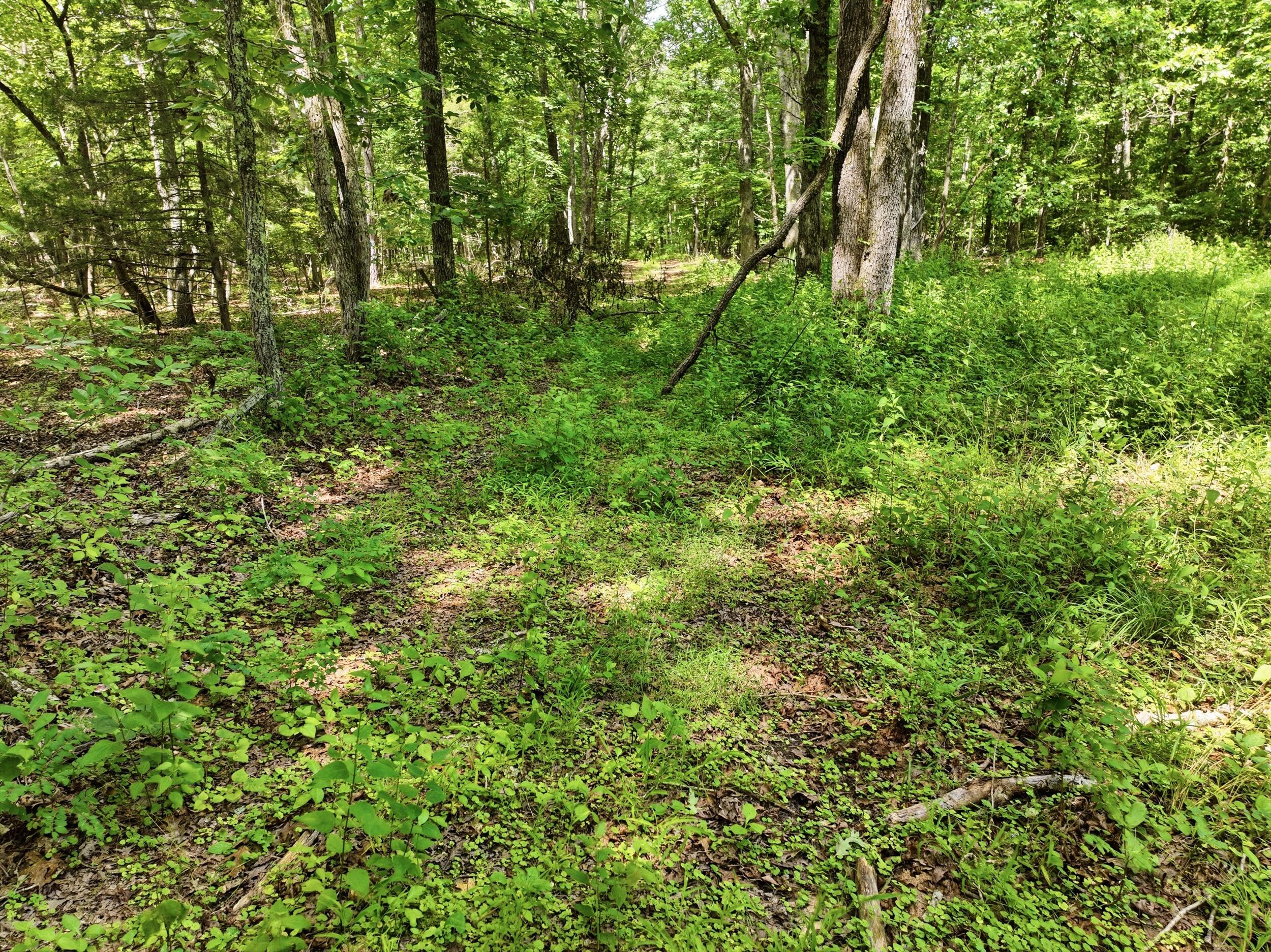 000 Barn Hollow Drive Property Photo 15