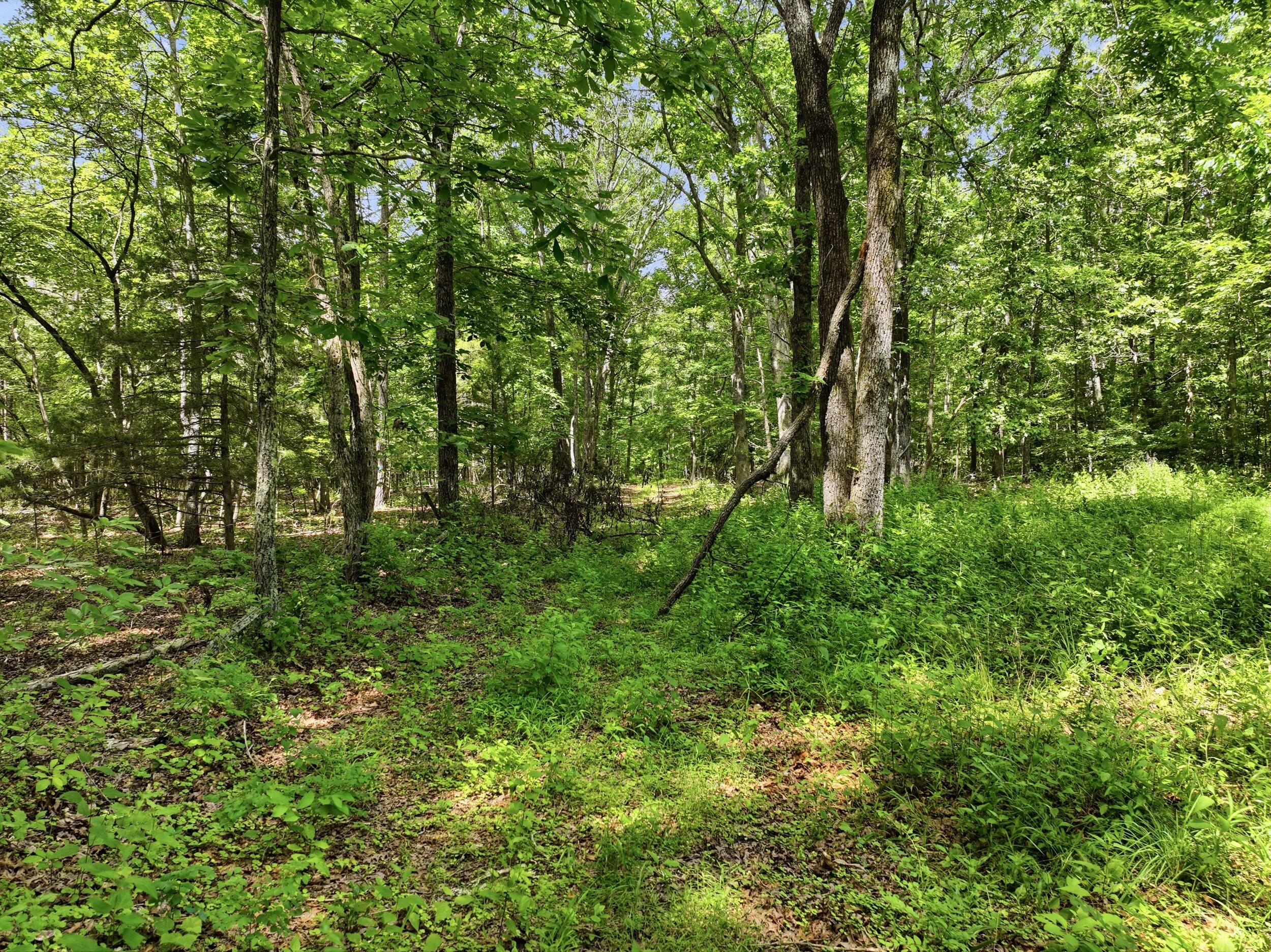 000 Barn Hollow Drive Property Photo 16
