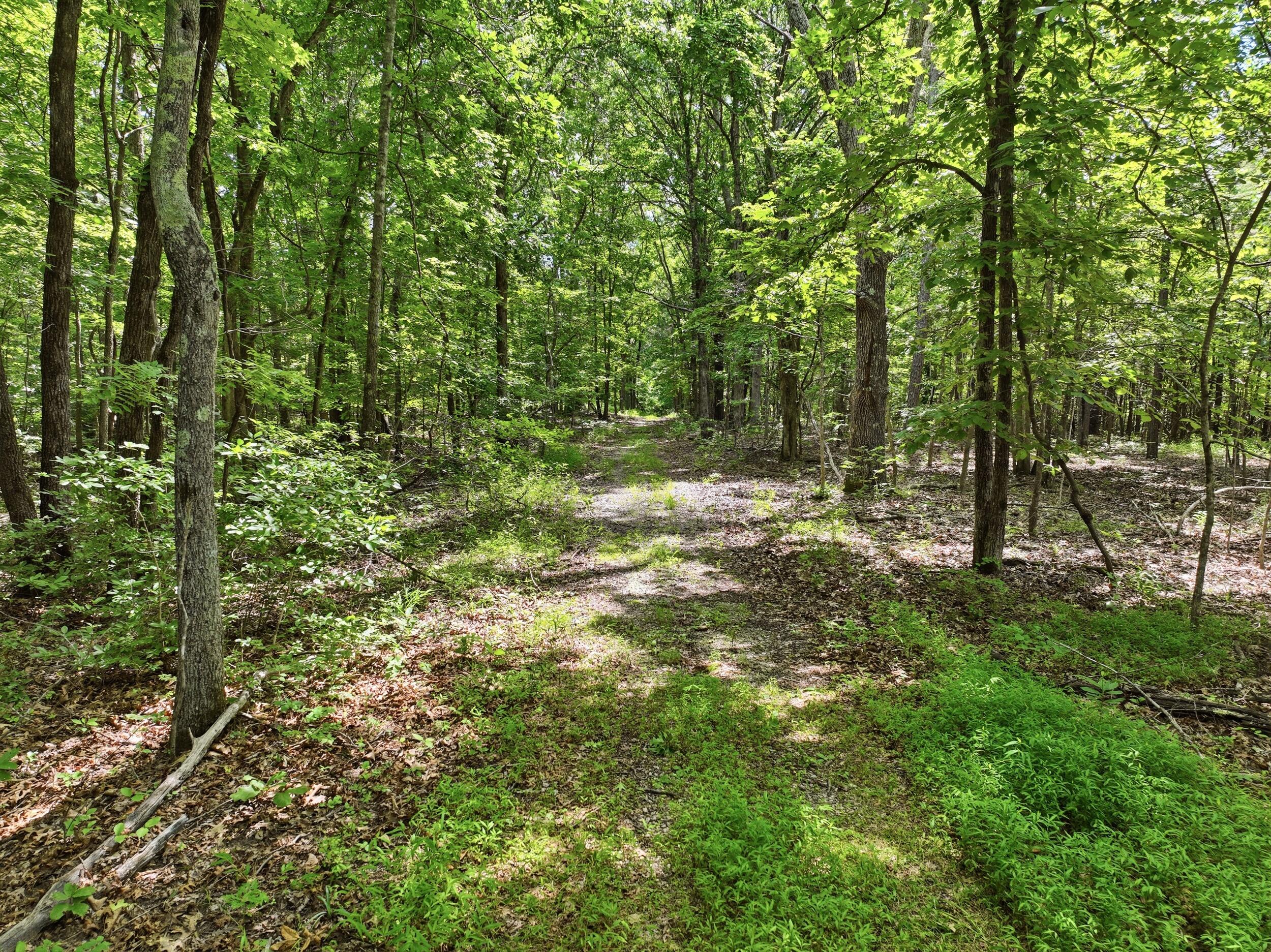 000 Barn Hollow Drive Property Photo 17