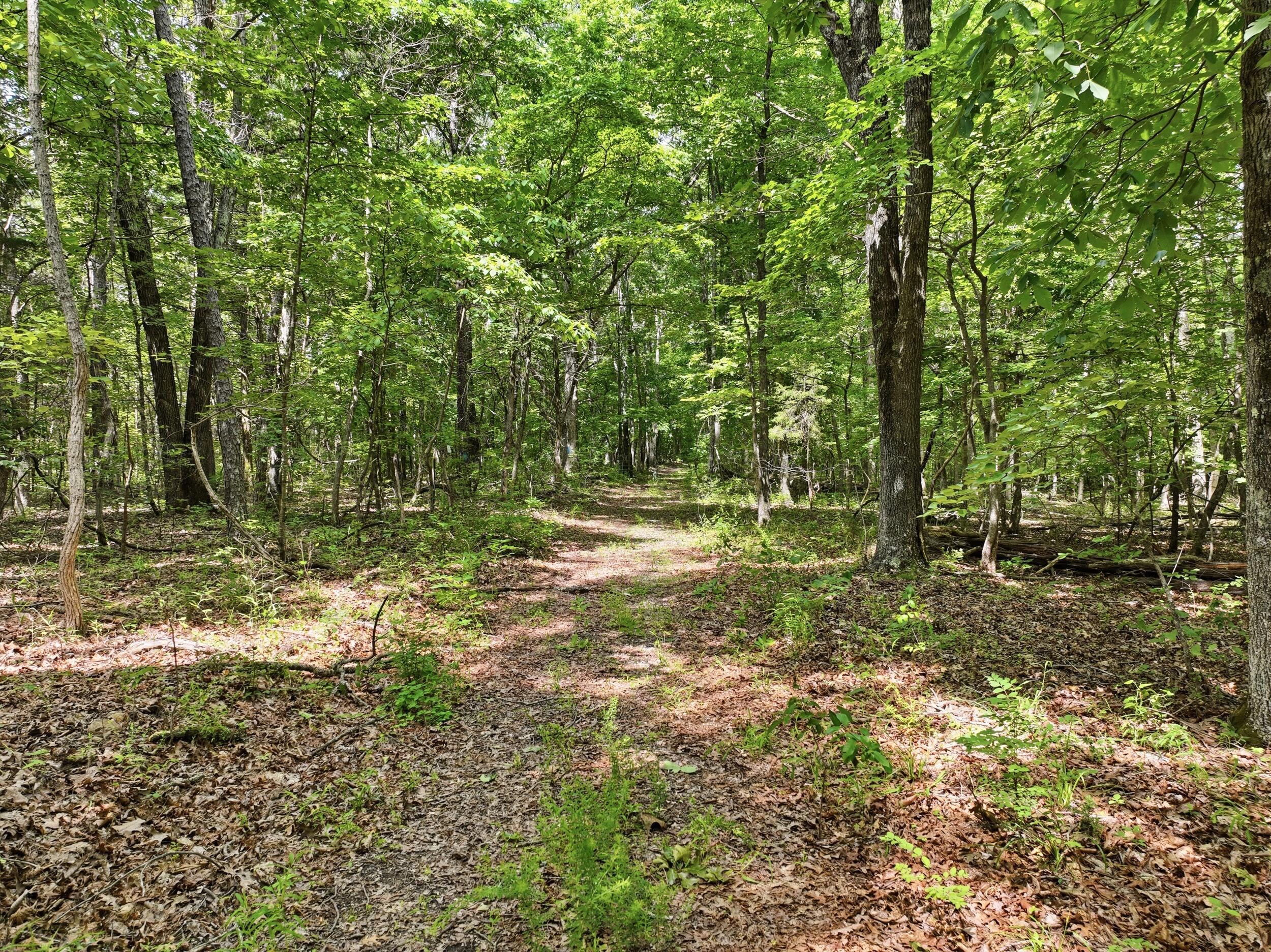 000 Barn Hollow Drive Property Photo 18
