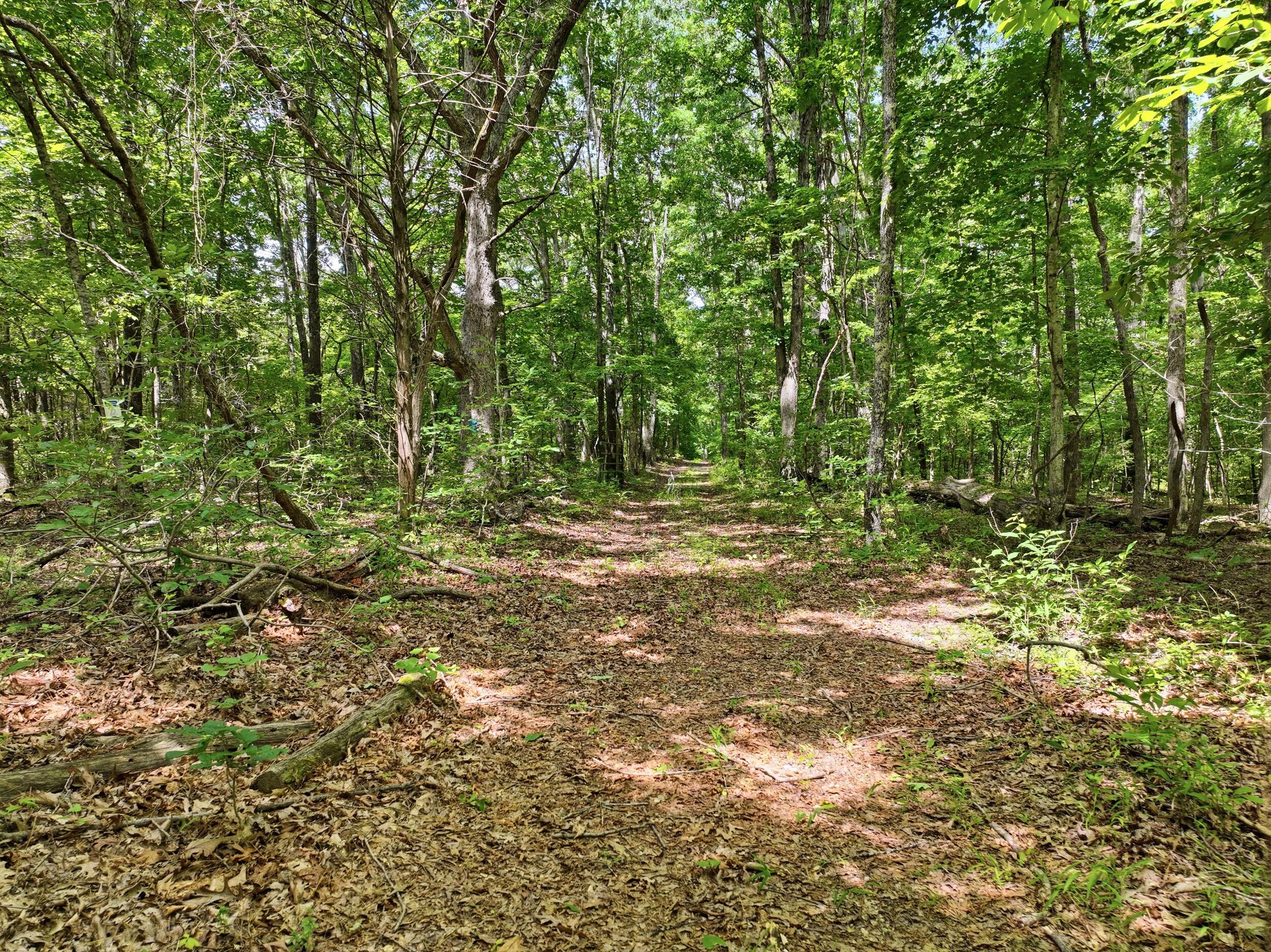 000 Barn Hollow Drive Property Photo 19