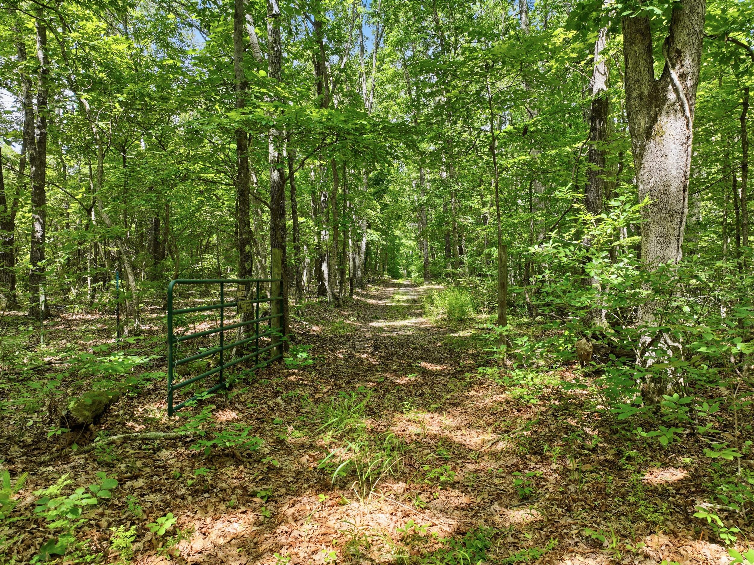 000 Barn Hollow Drive Property Photo 20