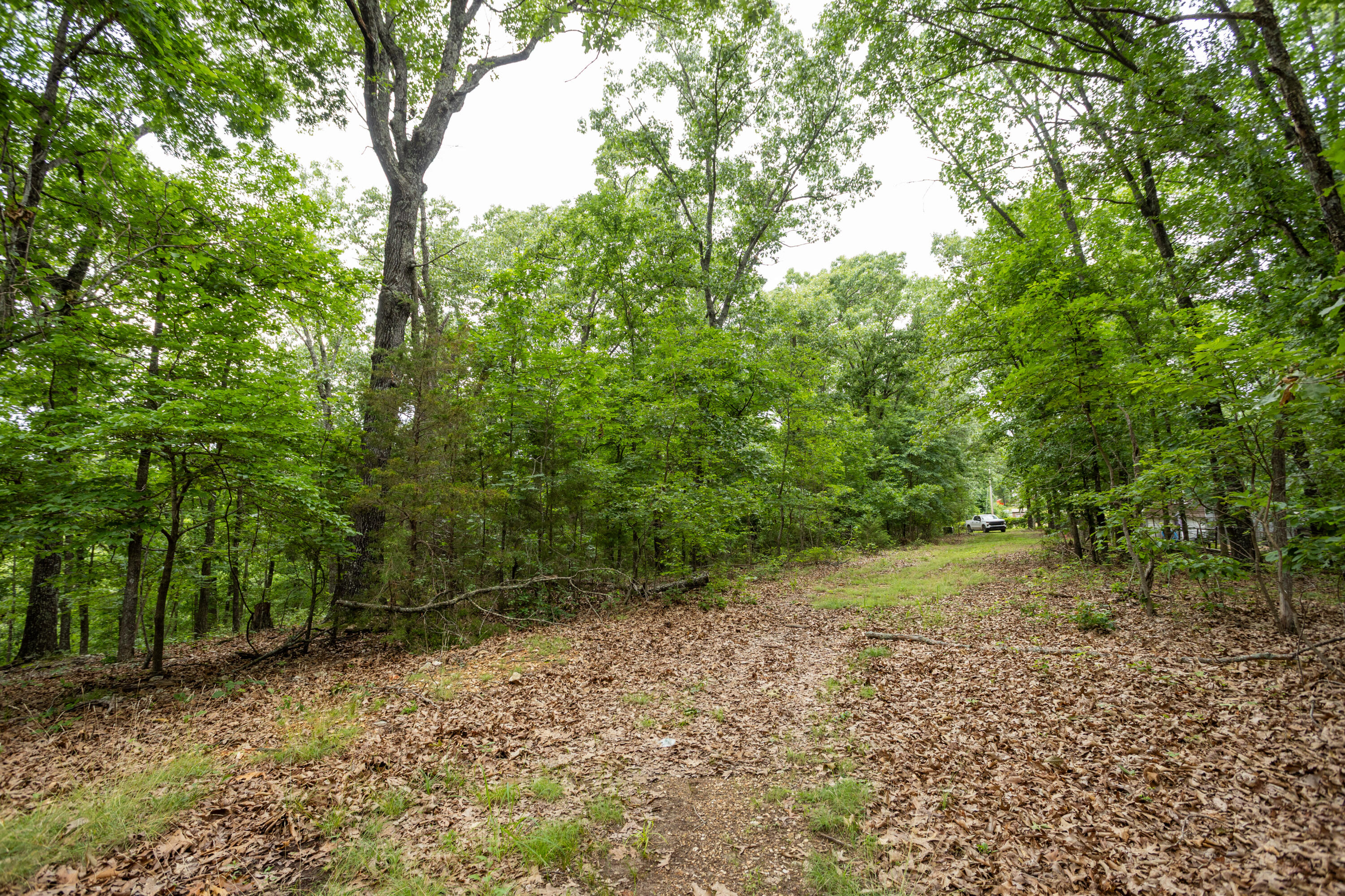 000 Misty Springs Rd Lot 16 Property Photo 6