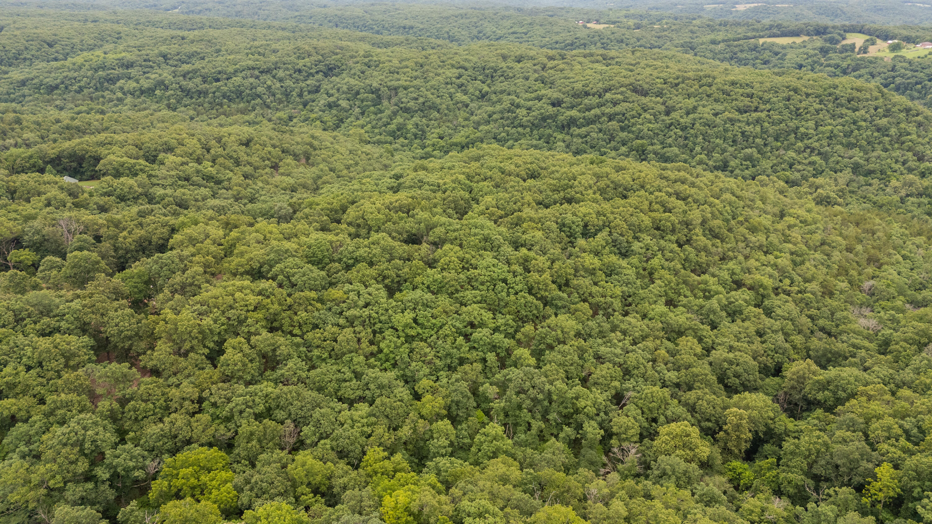 000 Misty Springs Rd Lot 16 Property Photo 21