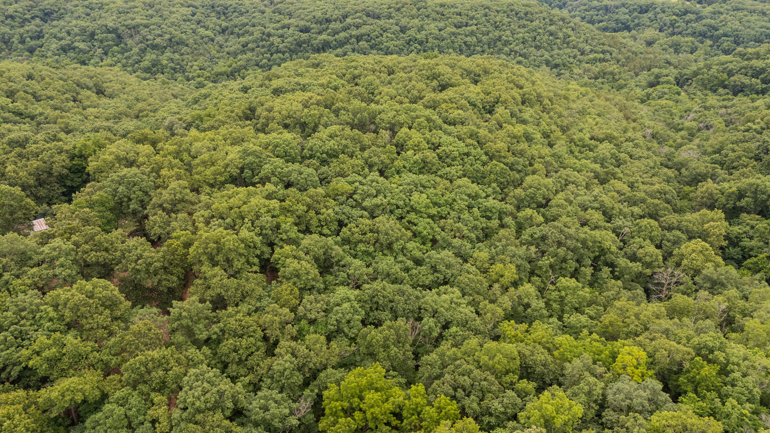 000 Misty Springs Rd Lot 16 Property Photo 22