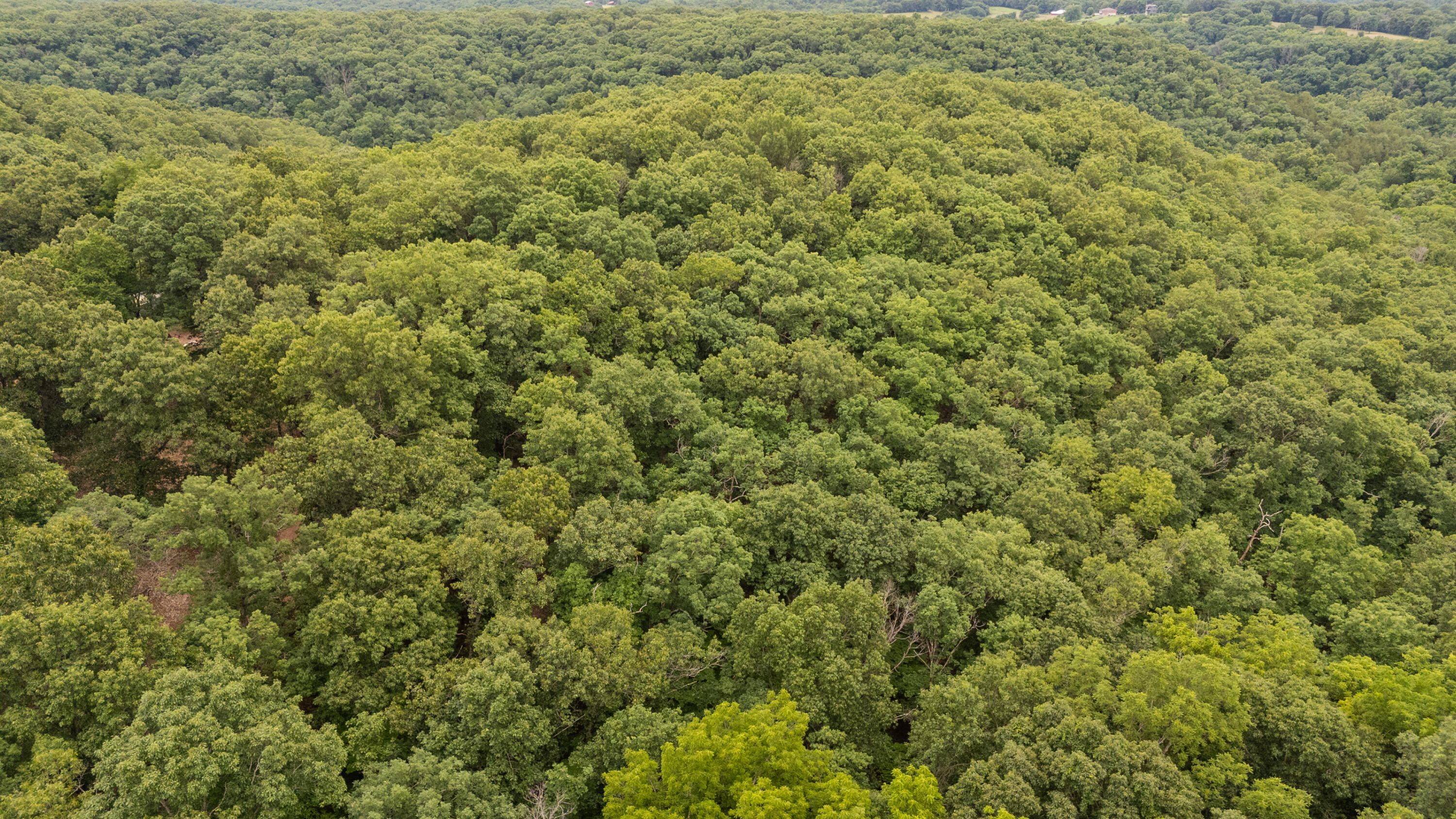000 Misty Springs Rd Lot 16 Property Photo 23