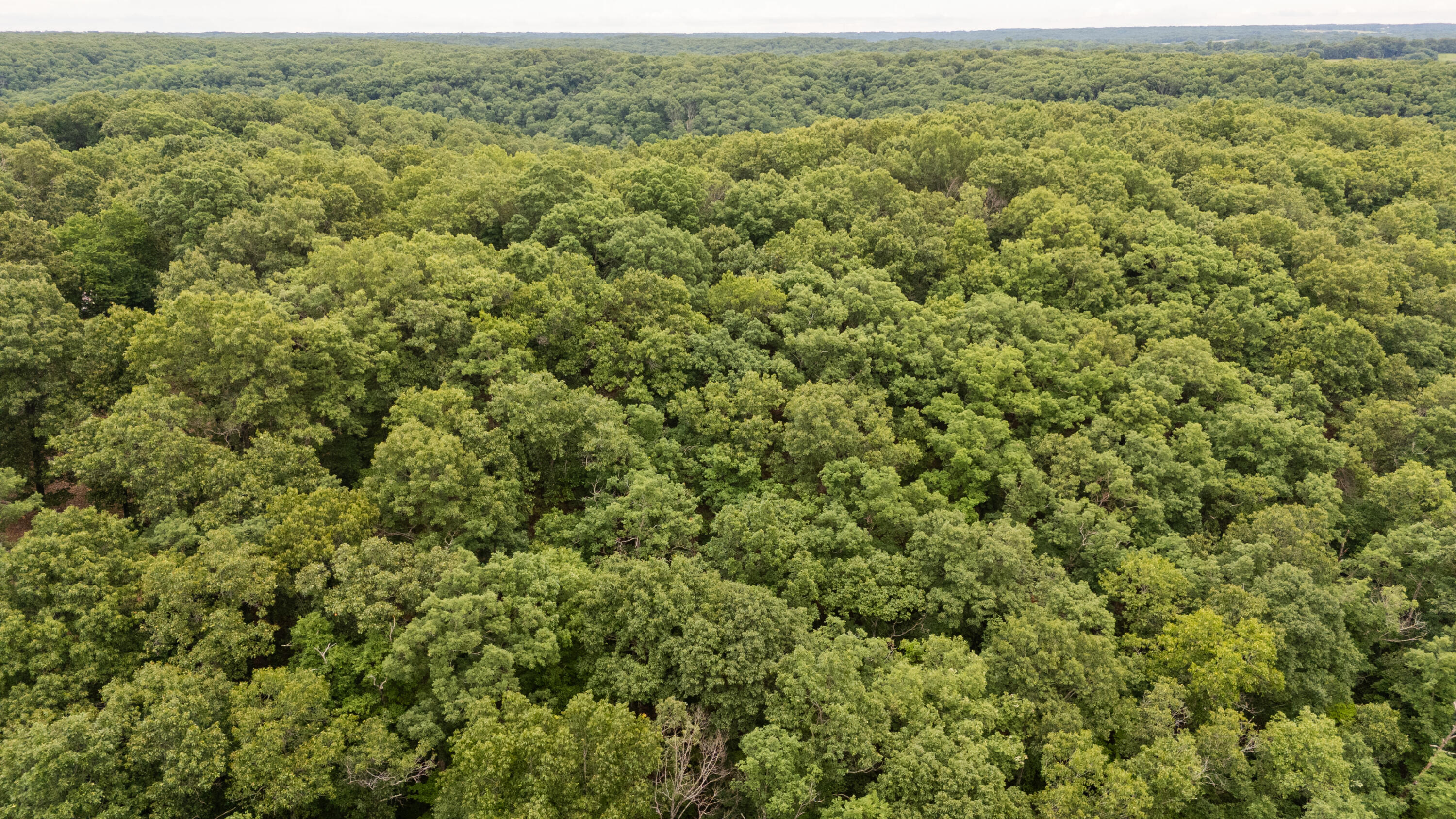 000 Misty Springs Rd Lot 16 Property Photo 24