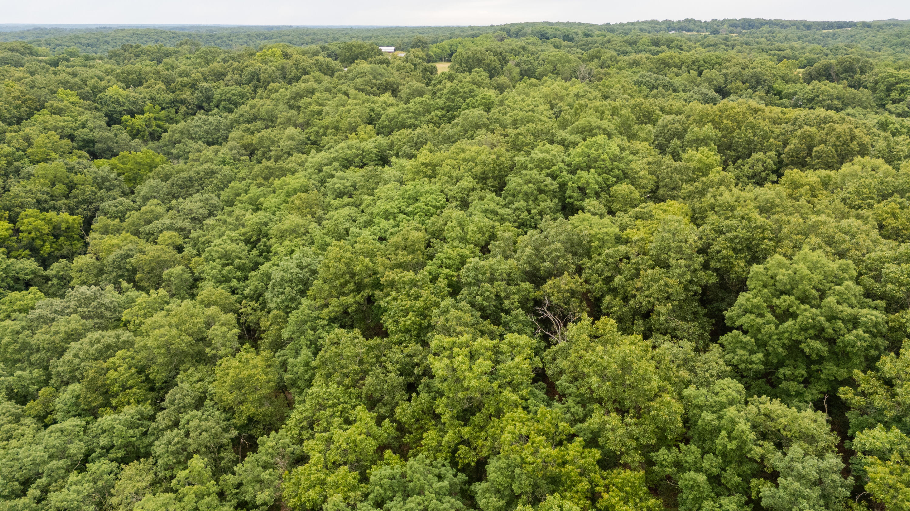 000 Misty Springs Rd Lot 16 Property Photo 25
