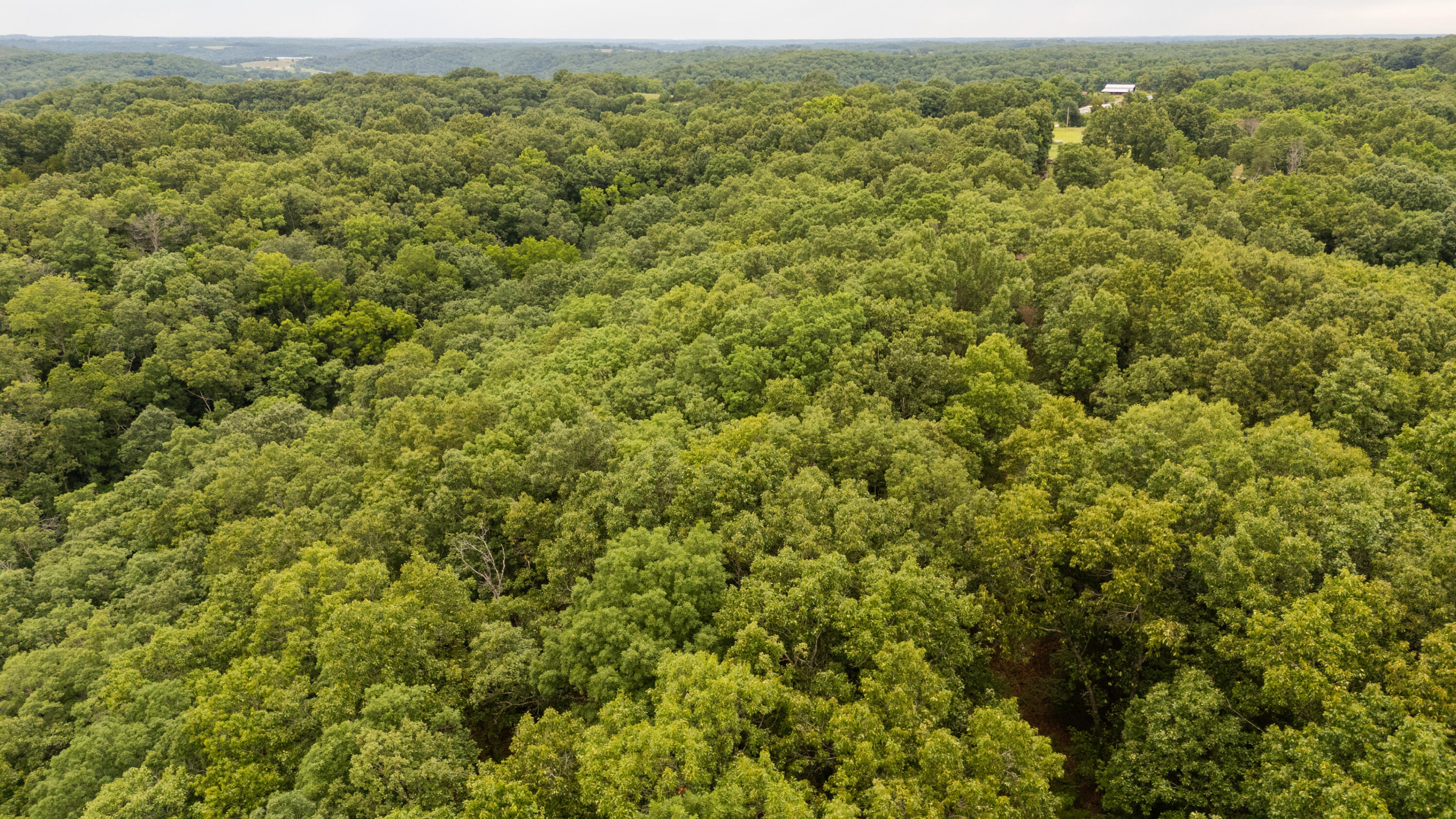 000 Misty Springs Rd Lot 16 Property Photo 26