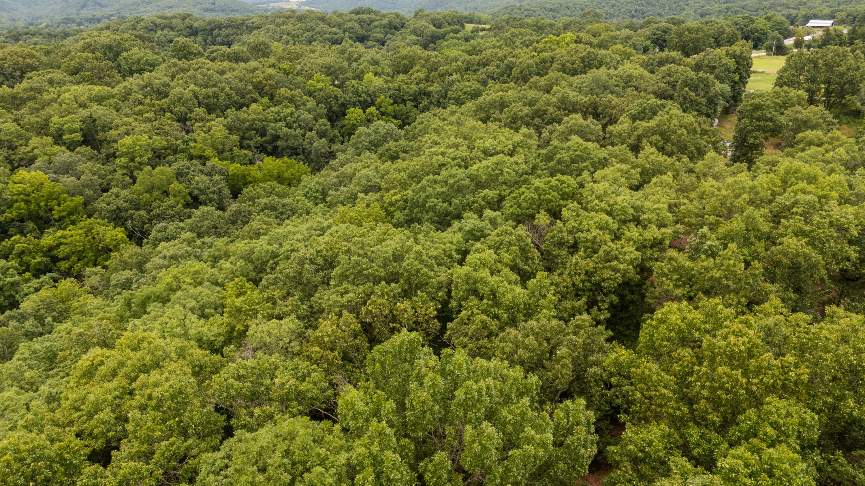 000 Misty Springs Rd Lot 16 Property Photo 27