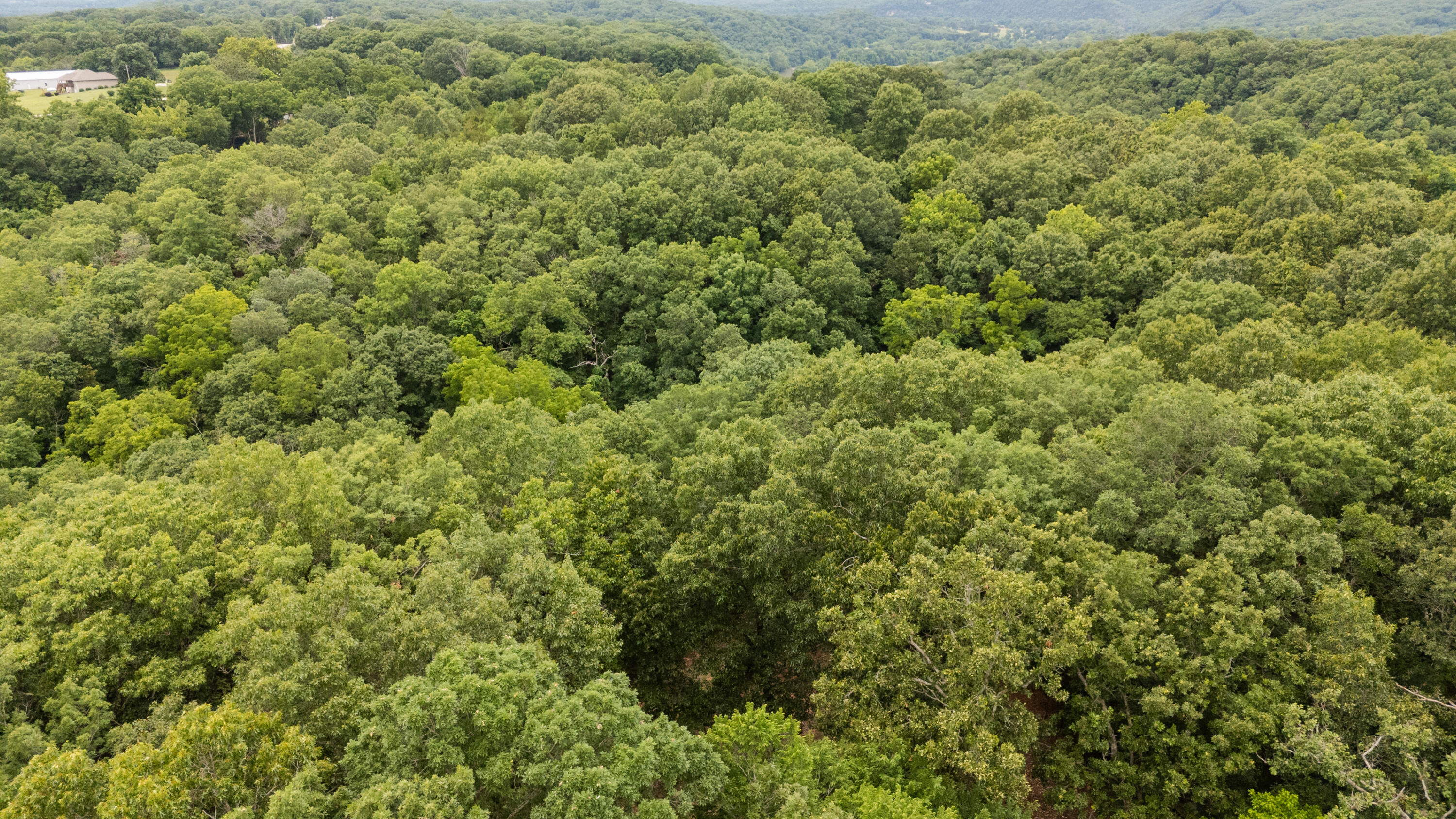 000 Misty Springs Rd Lot 16 Property Photo 28