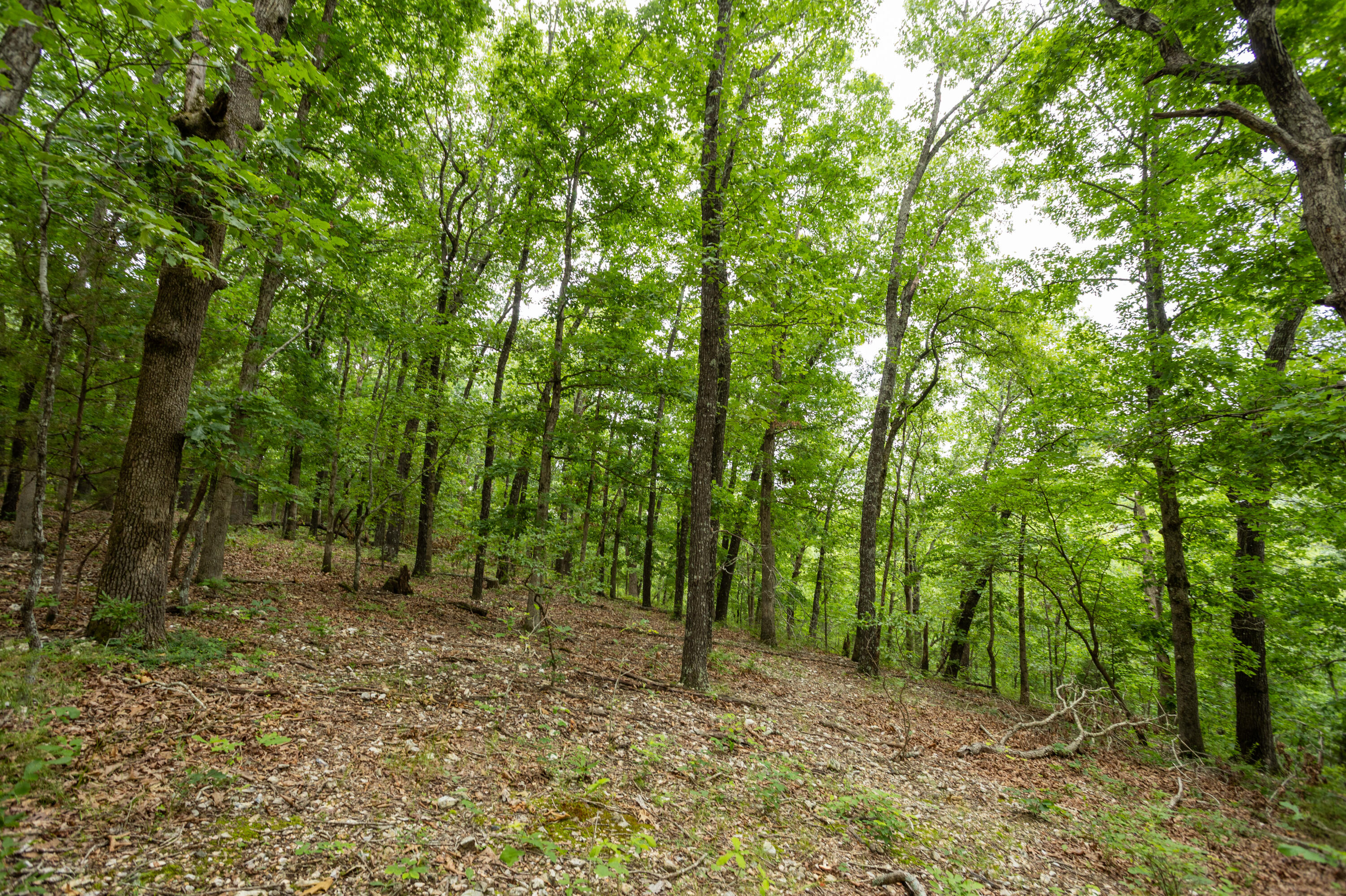 000 Misty Springs Rd Lot 16 Property Photo 33