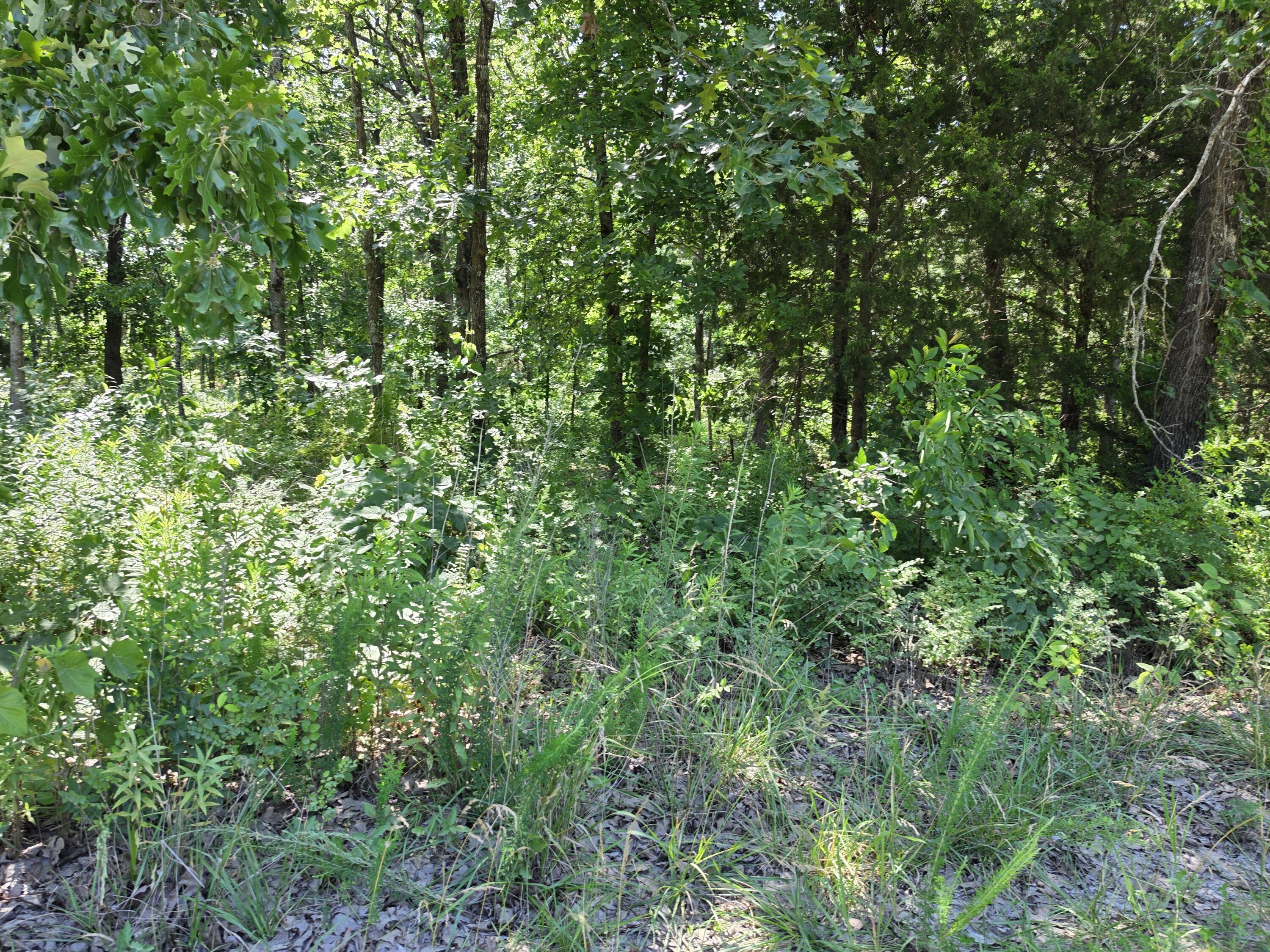 000 Hidden Pond Drive 36 Property Photo 1
