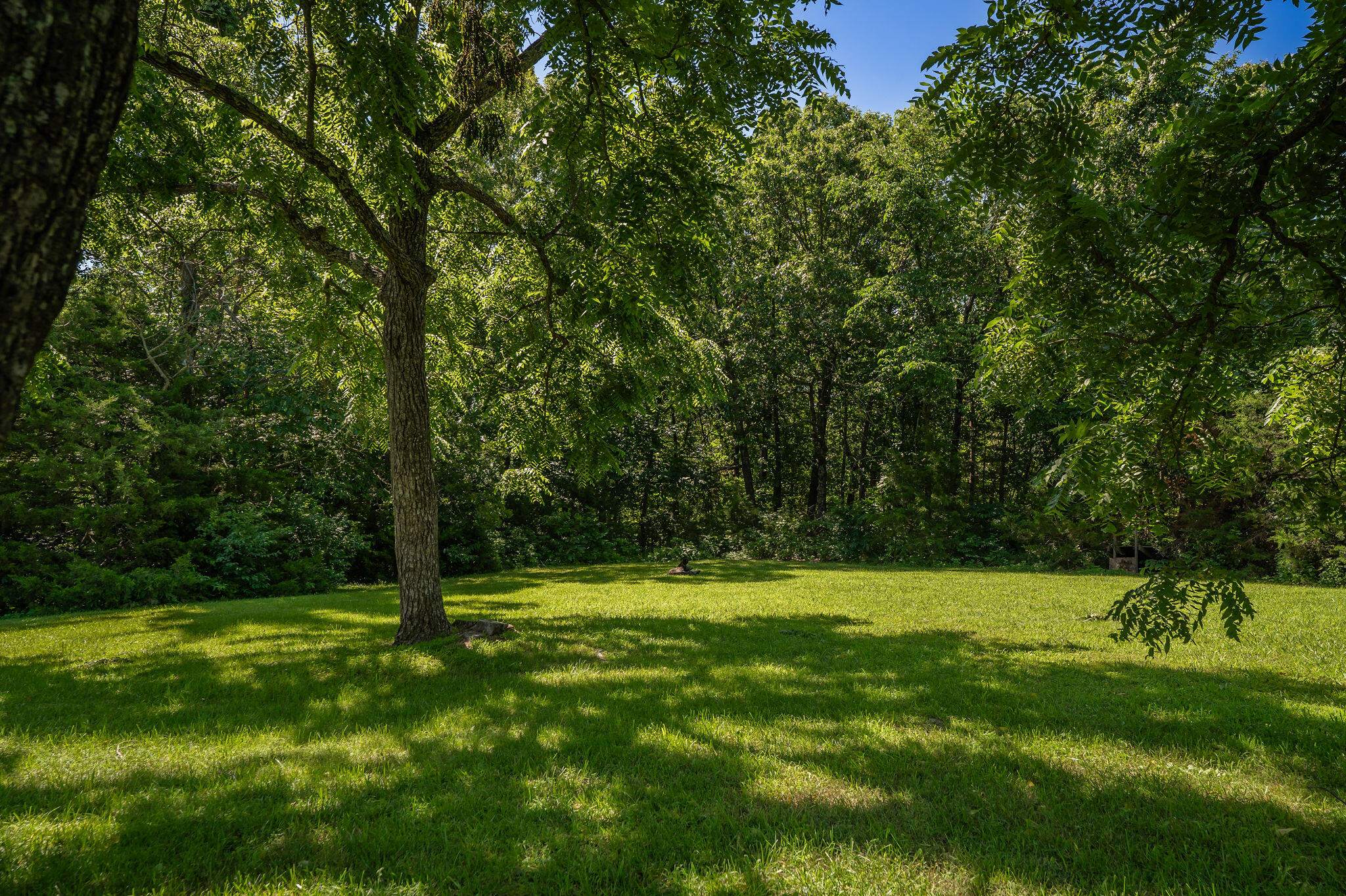 1440 State Highway Ab Property Photo 57