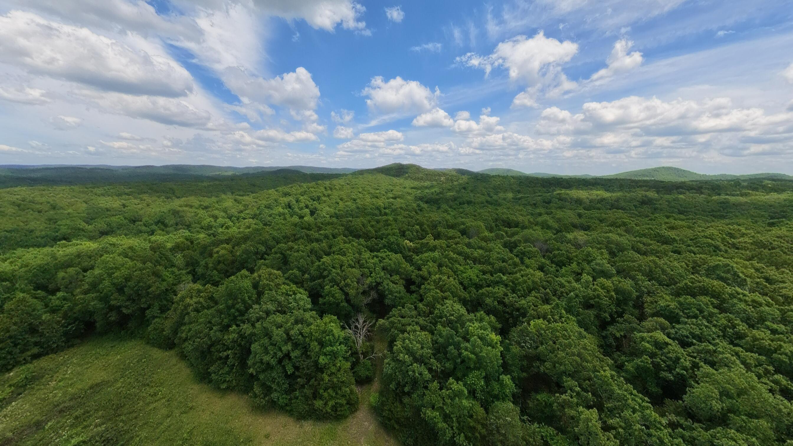 298 Eaton Run Property Photo 62