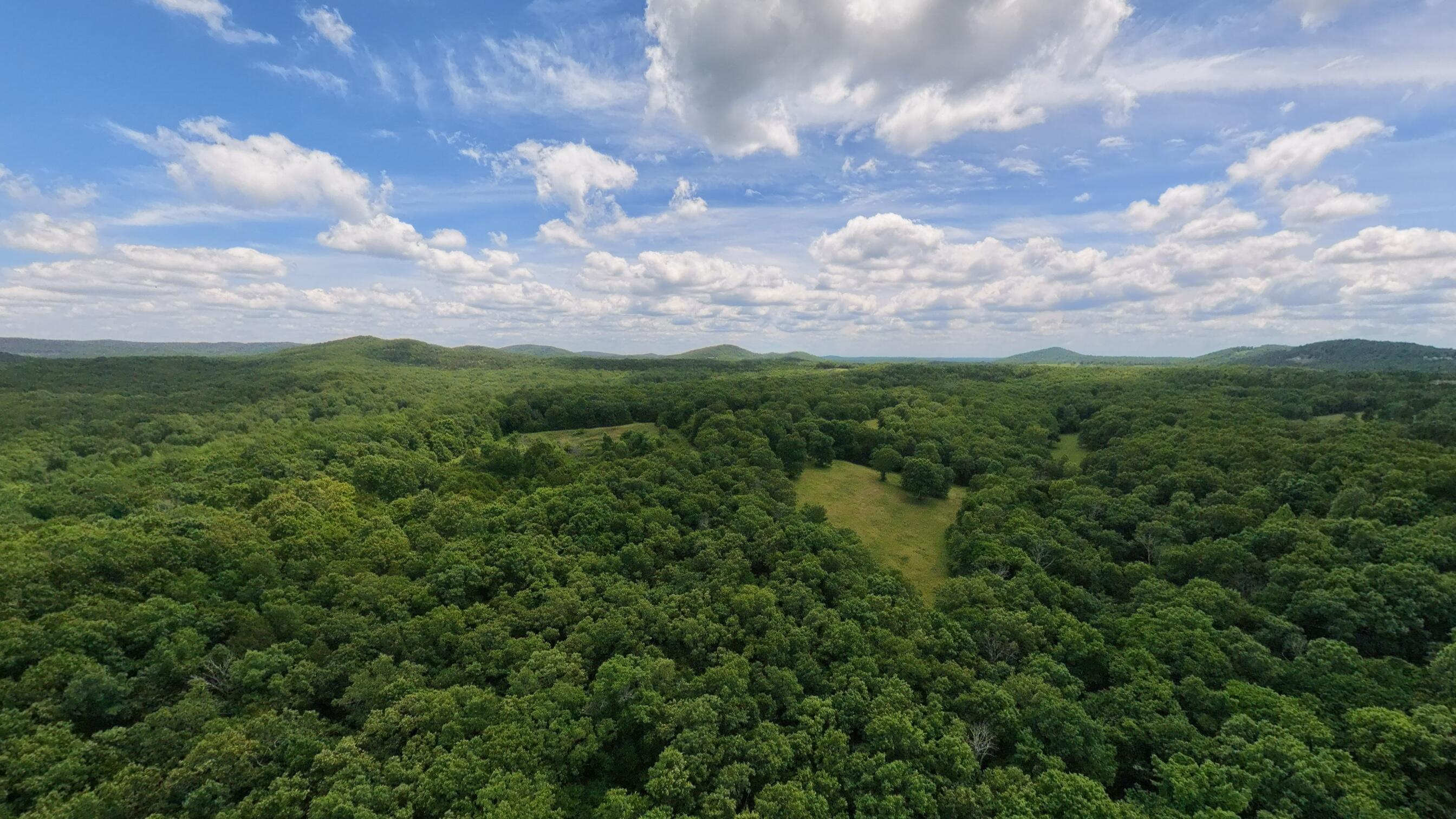 298 Eaton Run Property Photo 64