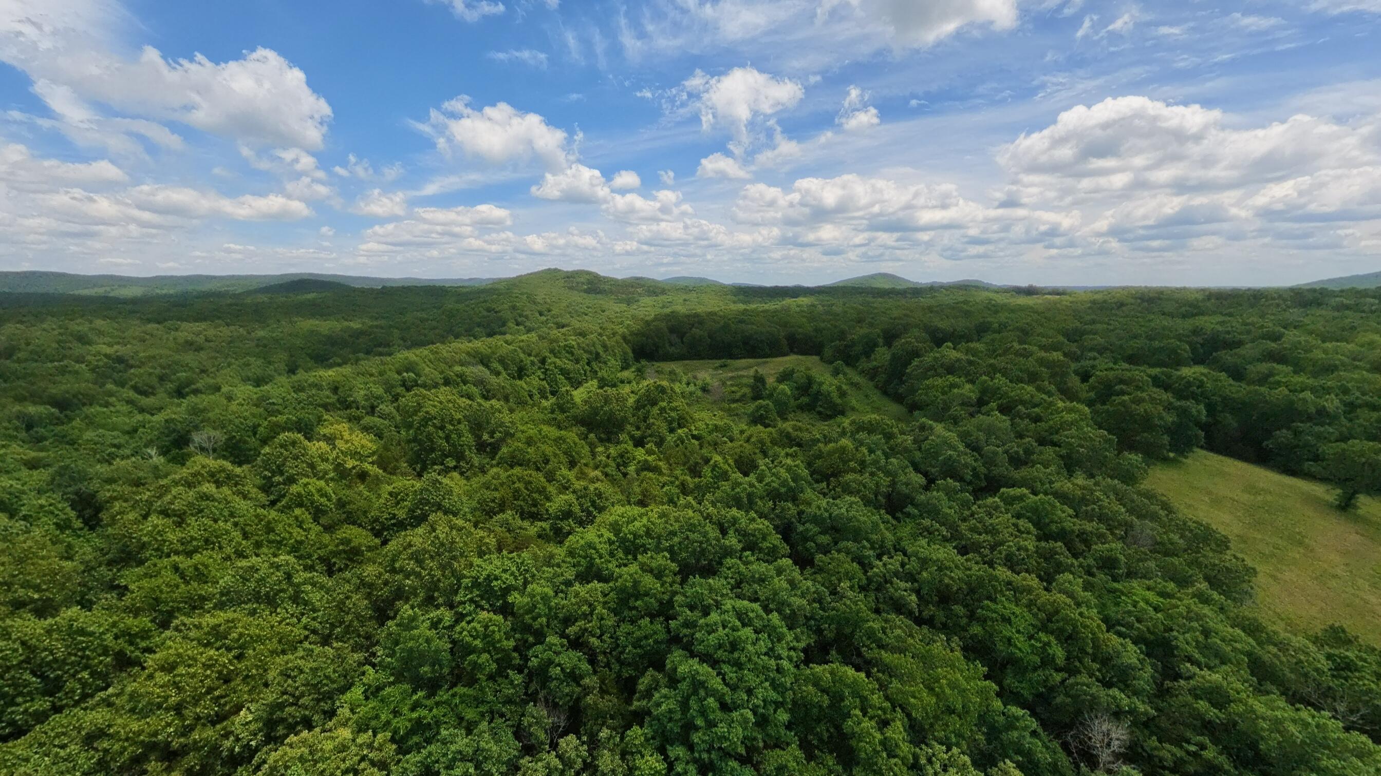 298 Eaton Run Property Photo 66