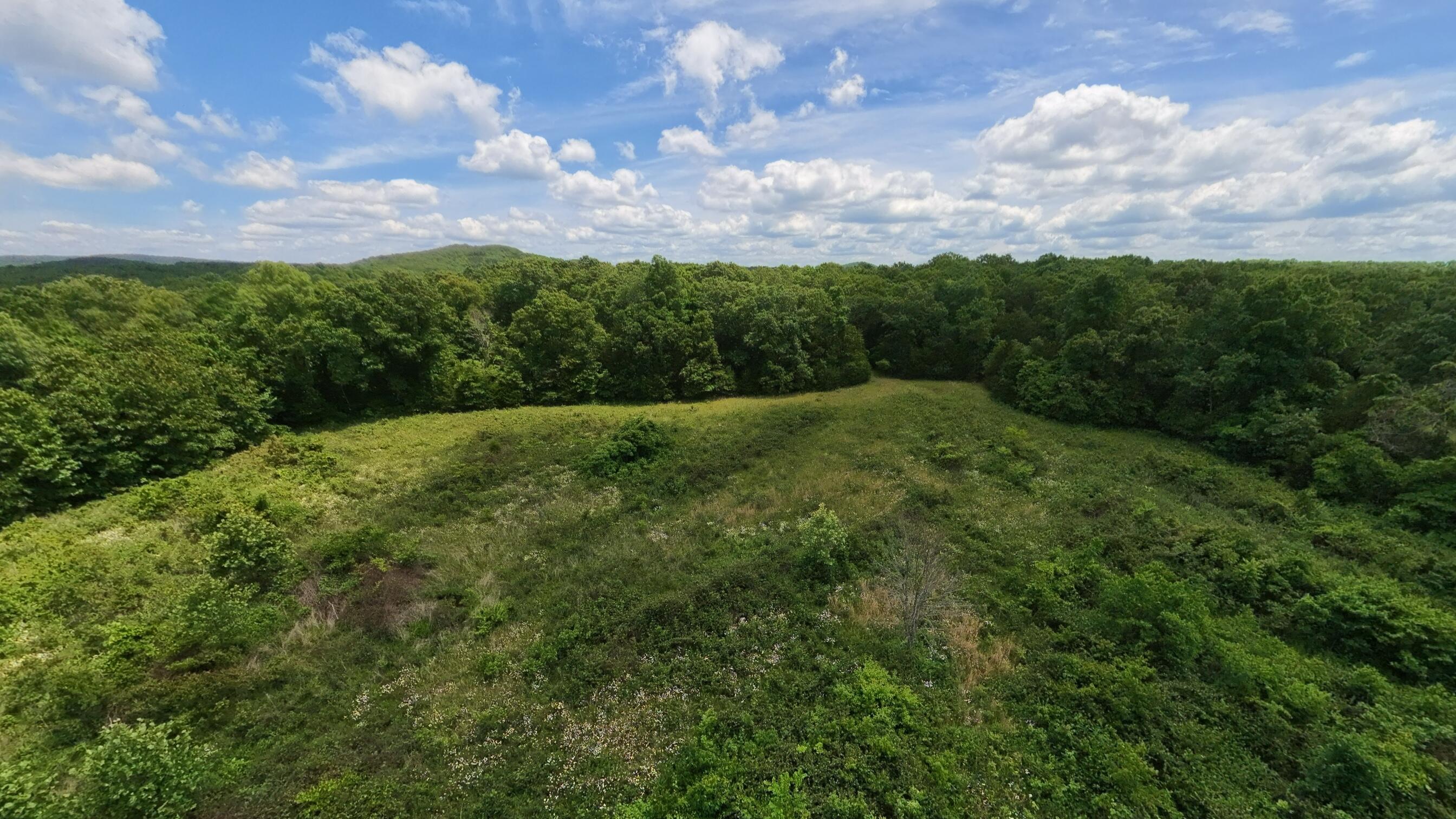 298 Eaton Run Property Photo 67