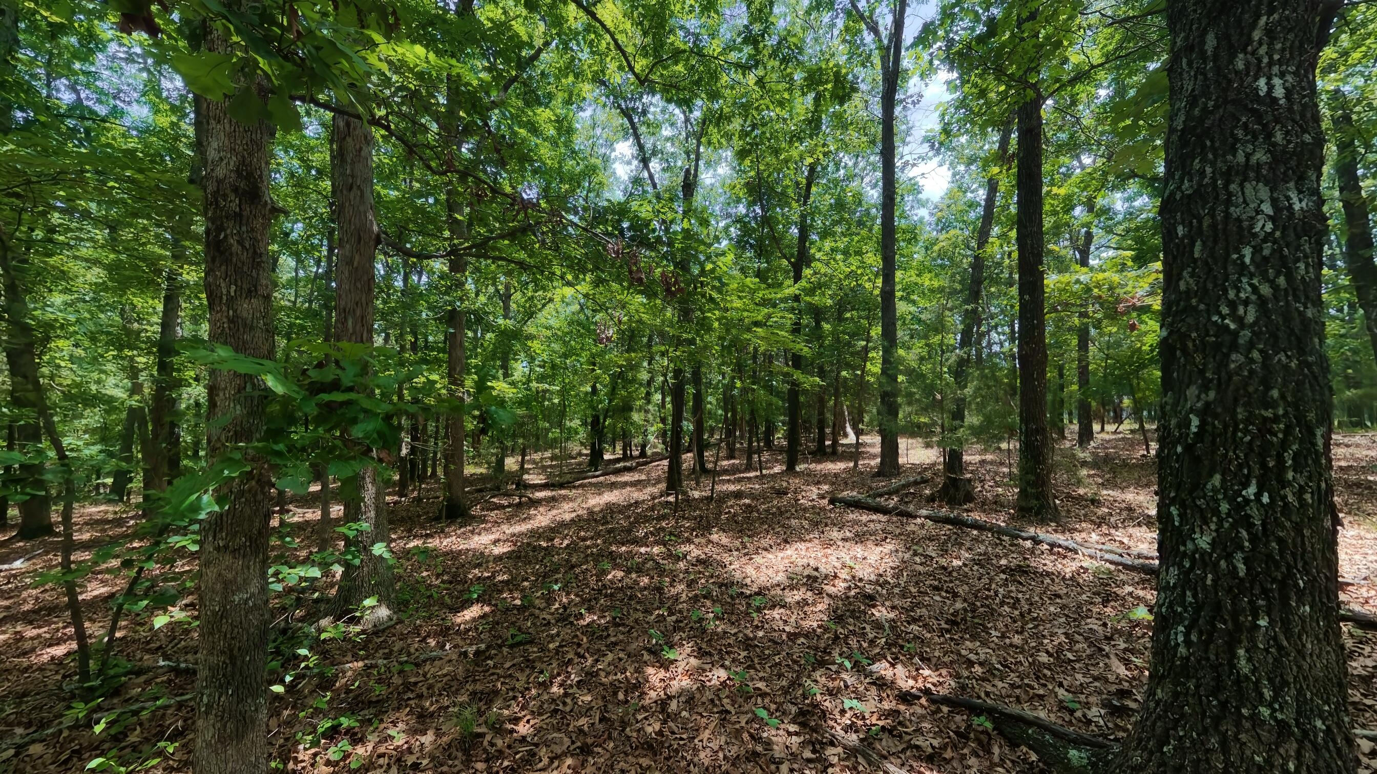 298 Eaton Run Property Photo 75