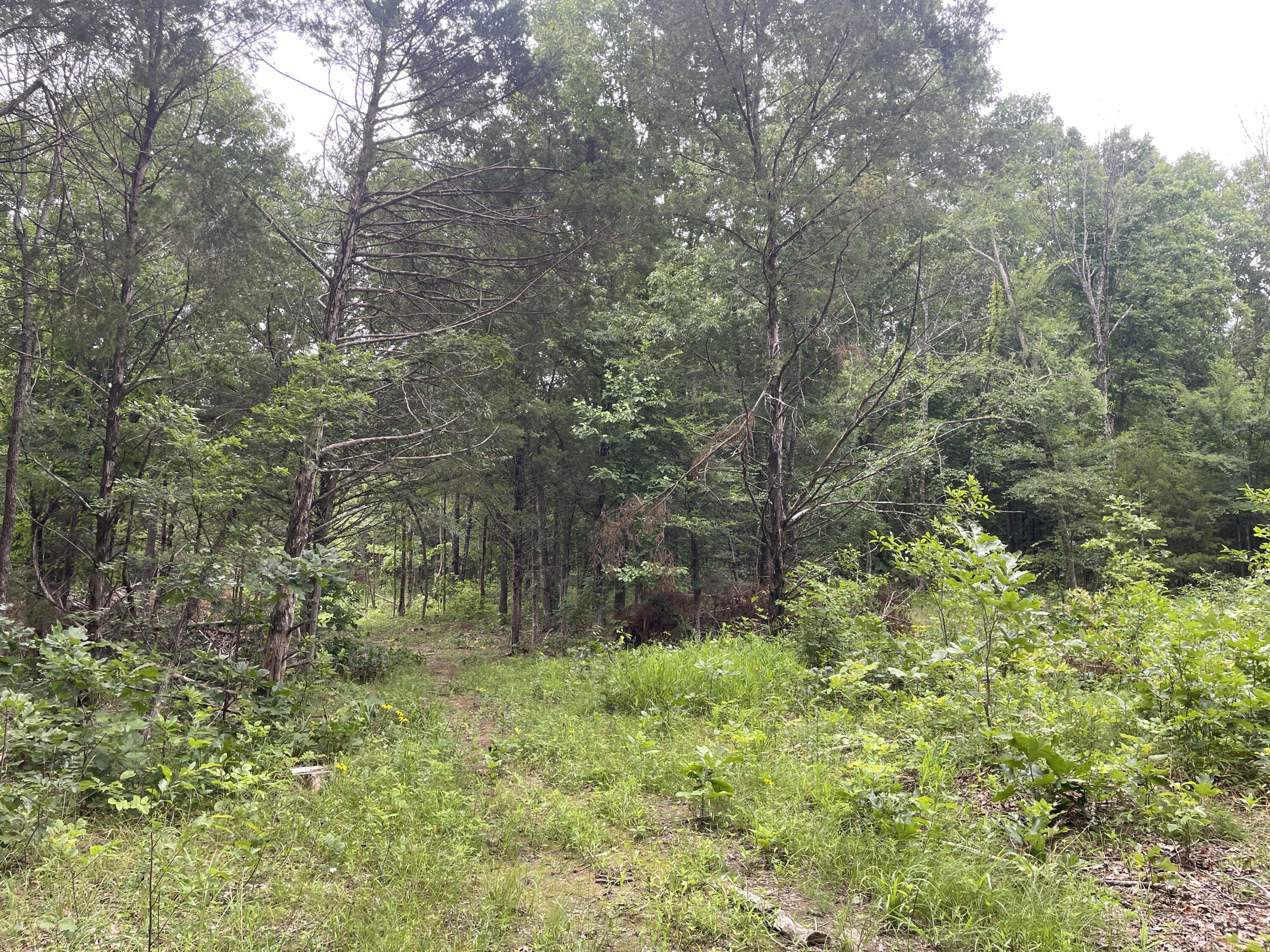 2980 County Road 855 Property Photo 7