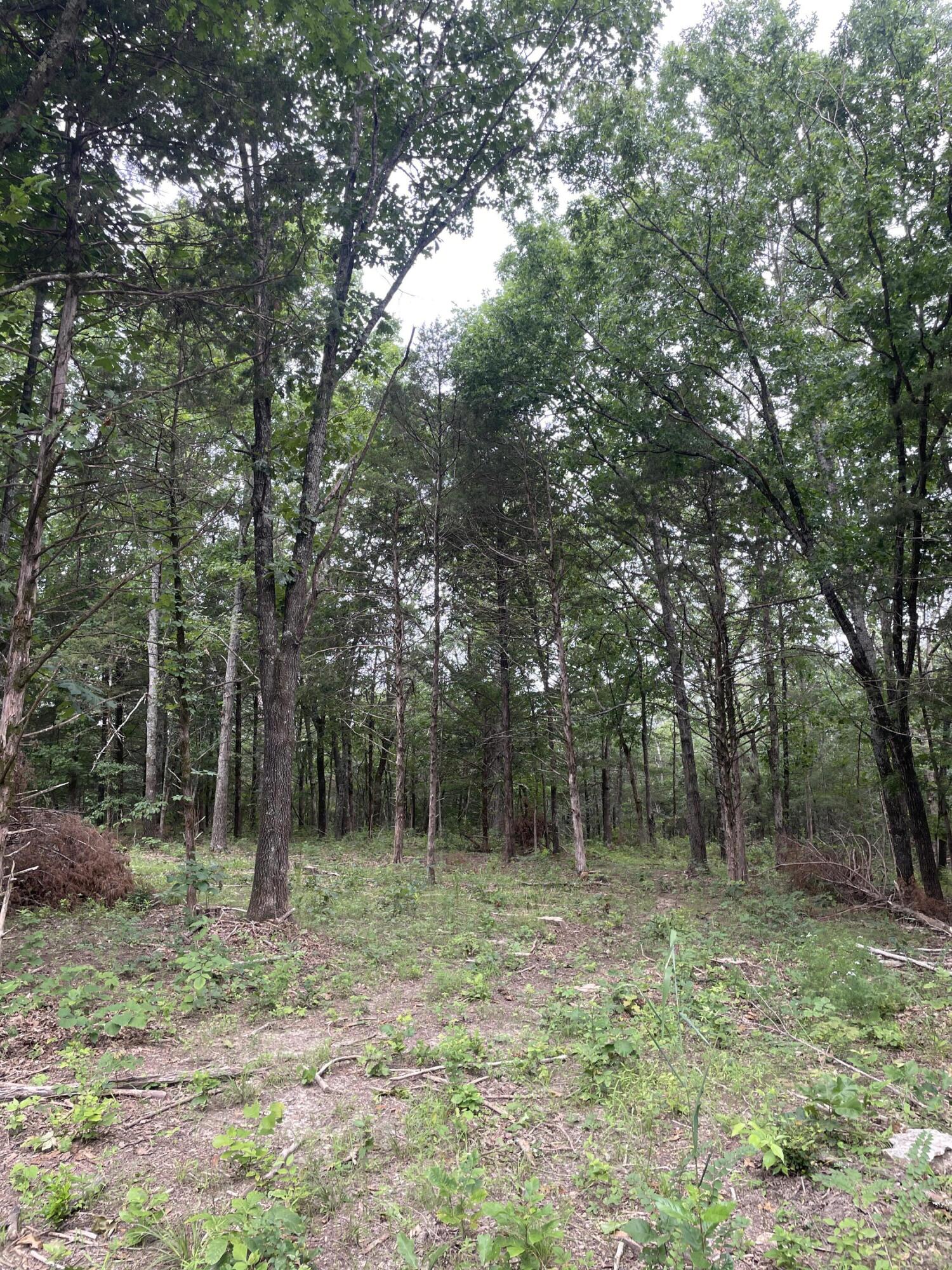 2980 County Road 855 Property Photo 8