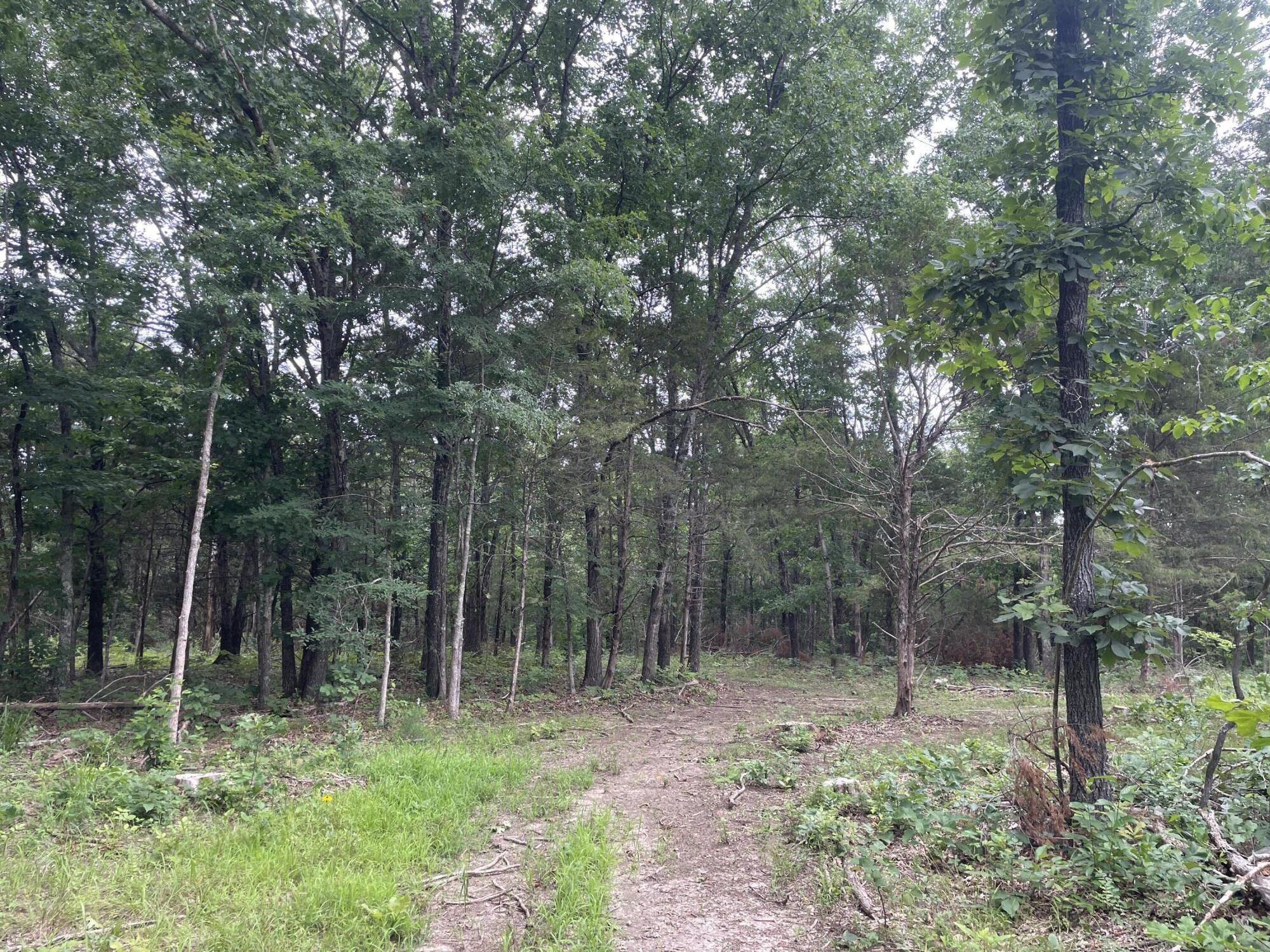 2980 County Road 855 Property Photo 9