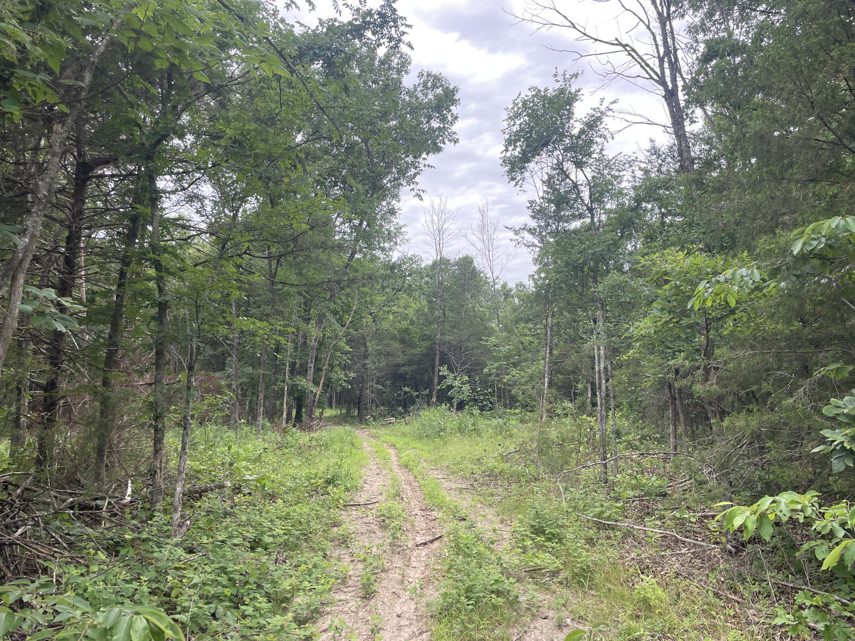 2980 County Road 855 Property Photo 10