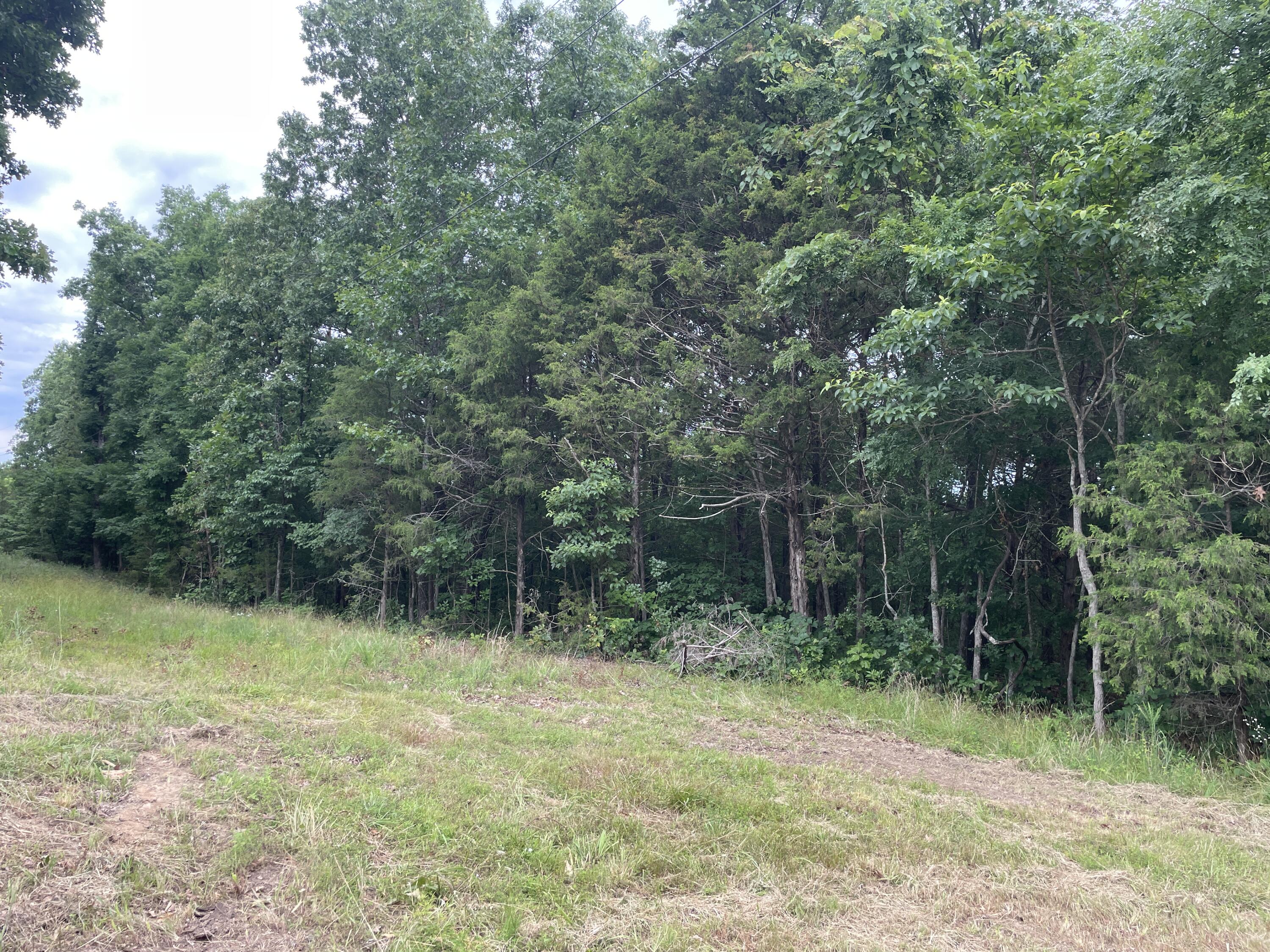2980 County Road 855 Property Photo 15