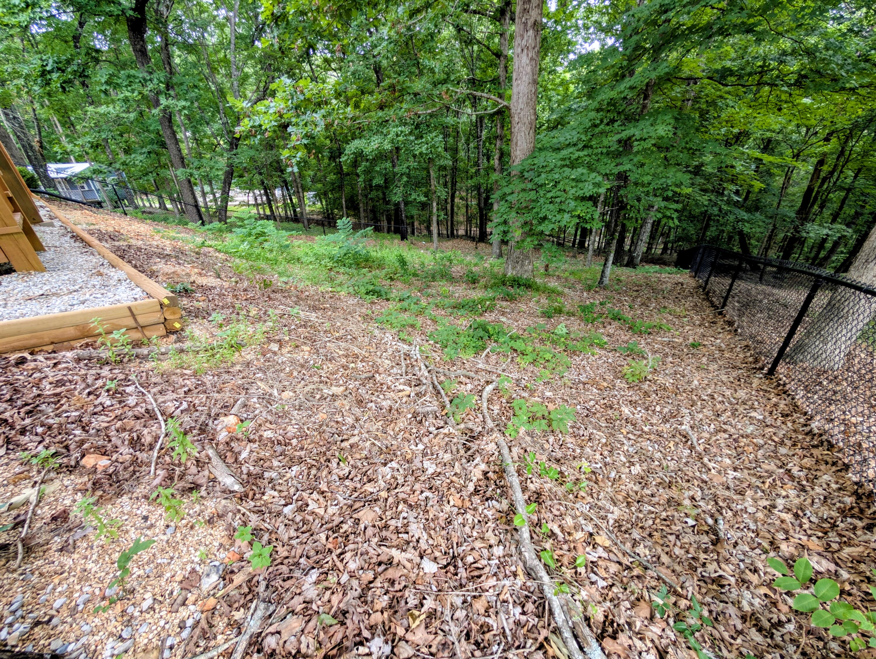 203 Queensberry Drive Property Photo 65