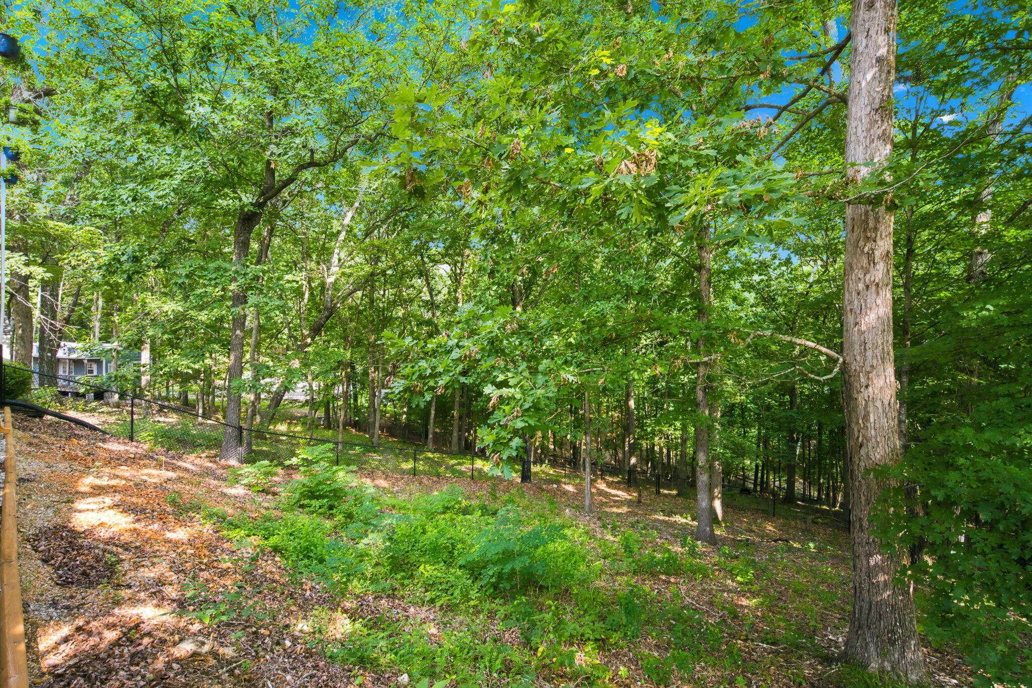 203 Queensberry Drive Property Photo 71