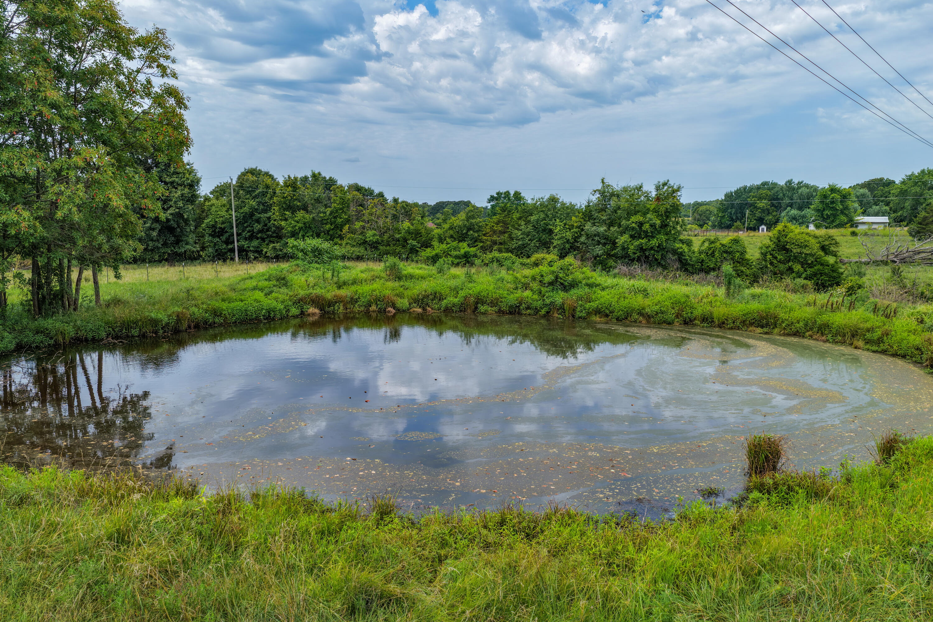 3656 Sunshine Road Property Photo 5