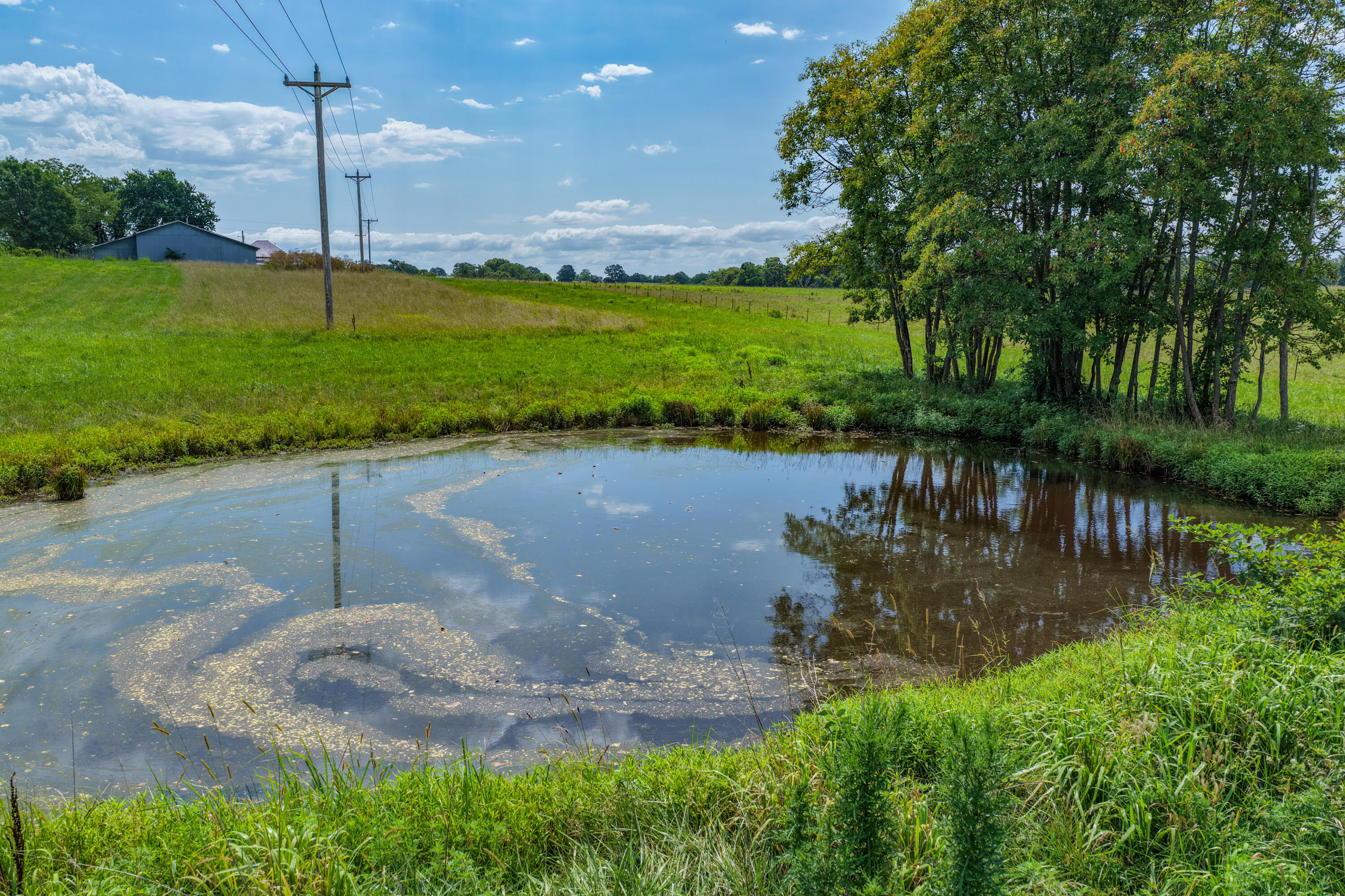 3656 Sunshine Road Property Photo 37