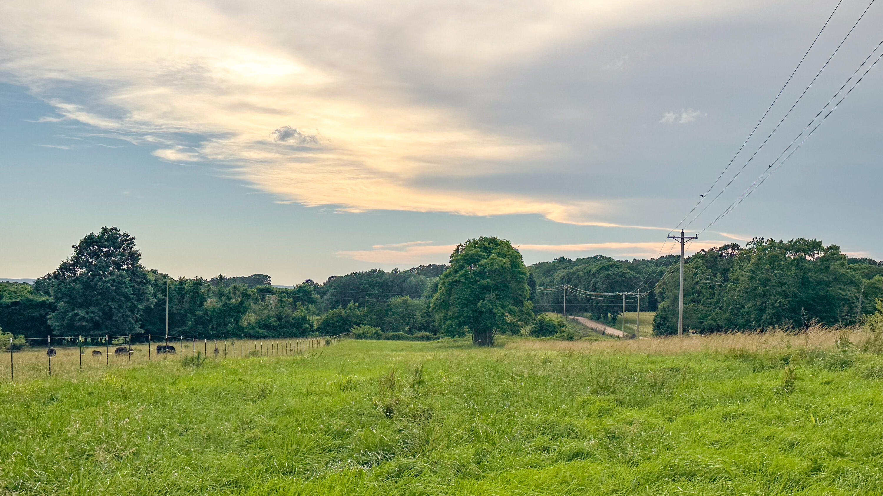 3656 Sunshine Road Property Photo 38