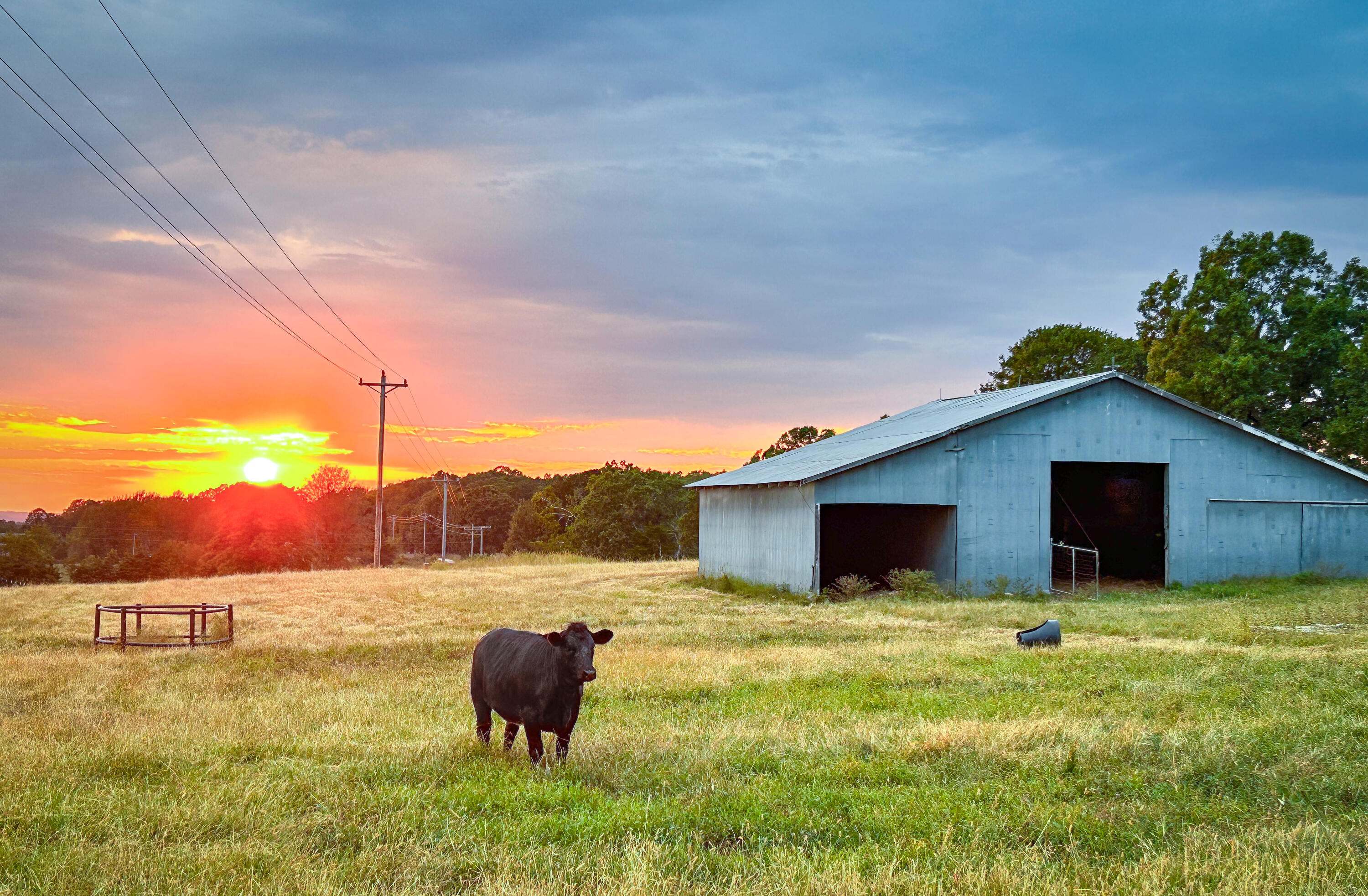 3656 Sunshine Road Property Photo 47