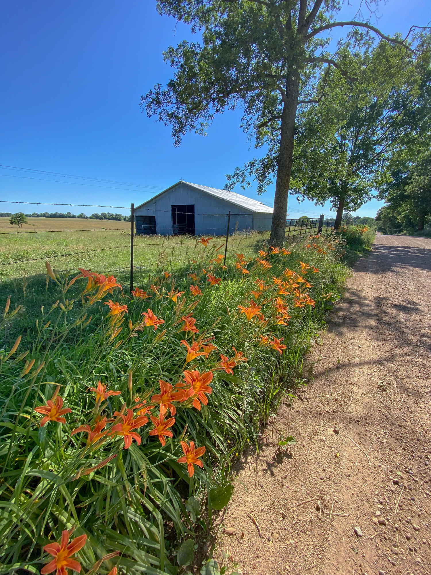 3656 Sunshine Road Property Photo 48