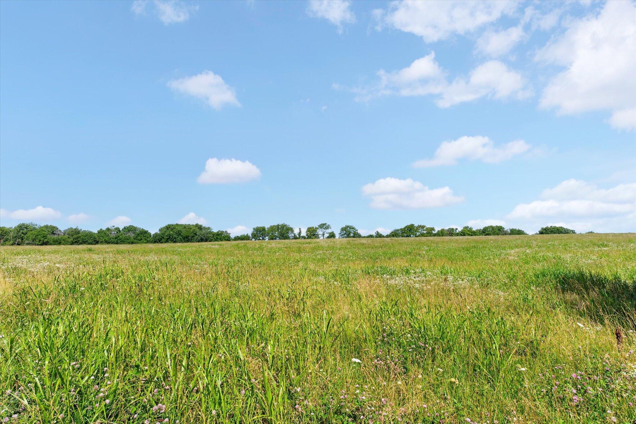 60326939 Property Photo 46